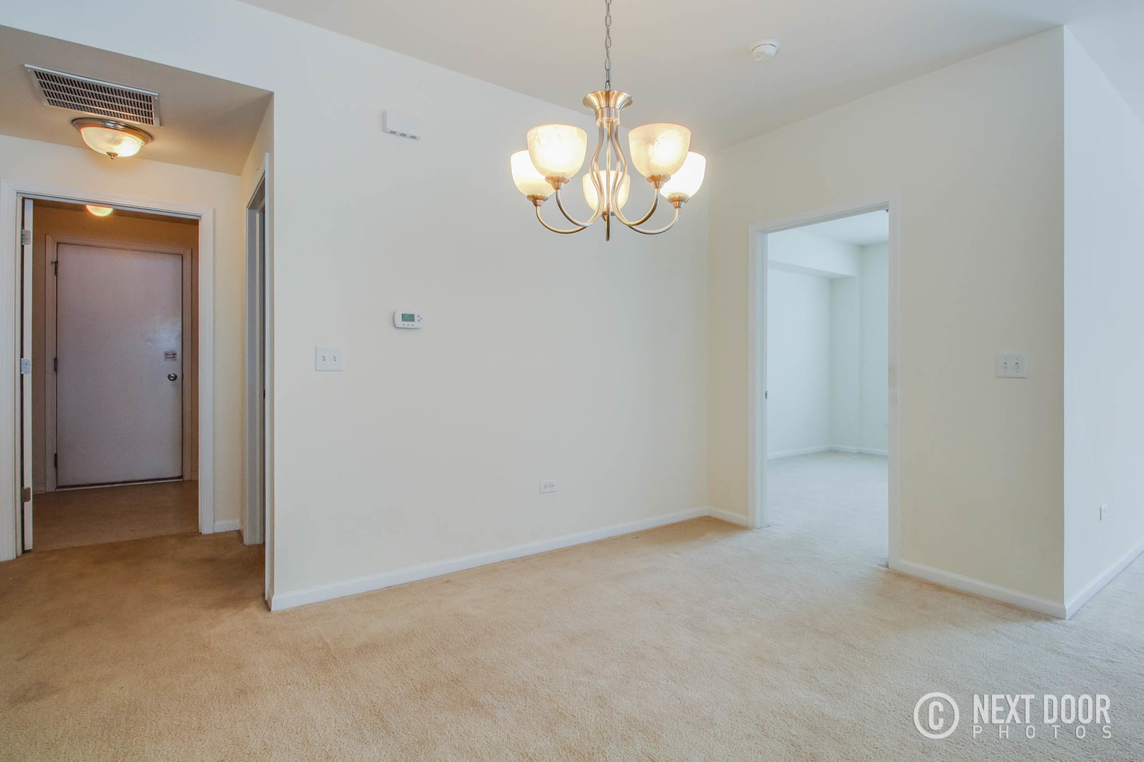 1023 Neudearborn Lane Naperville, IL 60563 - Photo 8 of 19