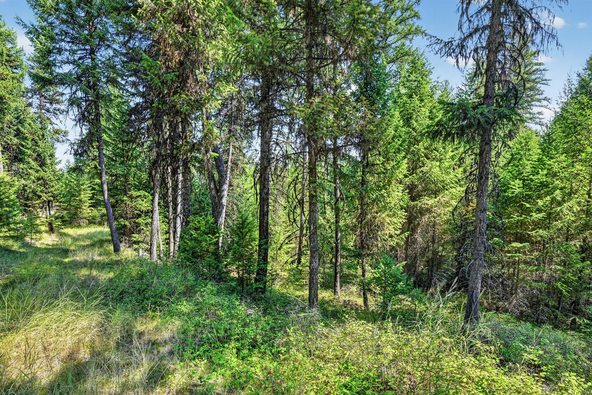 Lot 5 Forest Ridge Road Eureka, MT 59917 - Photo 16 of 23 Gallery Image 16