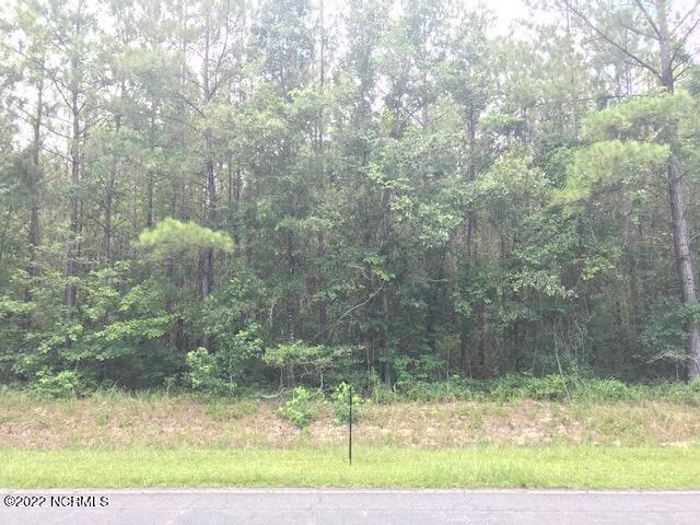 Lot B Fennell Town Road Rocky Point, NC 28457 - Photo 1 of 1 front