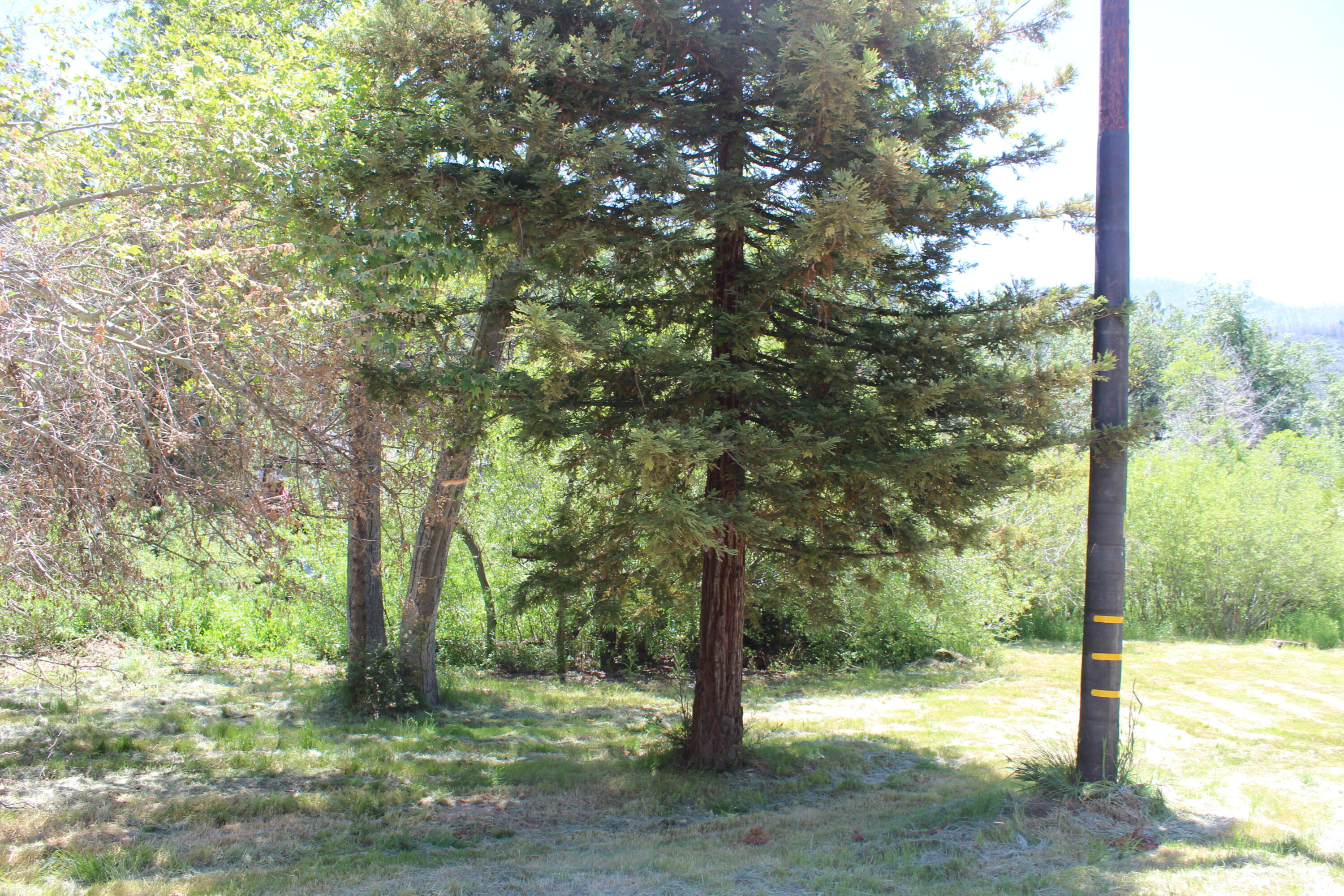 2101 Nelson Drive Springville, CA 93265 - Photo 53 of 59