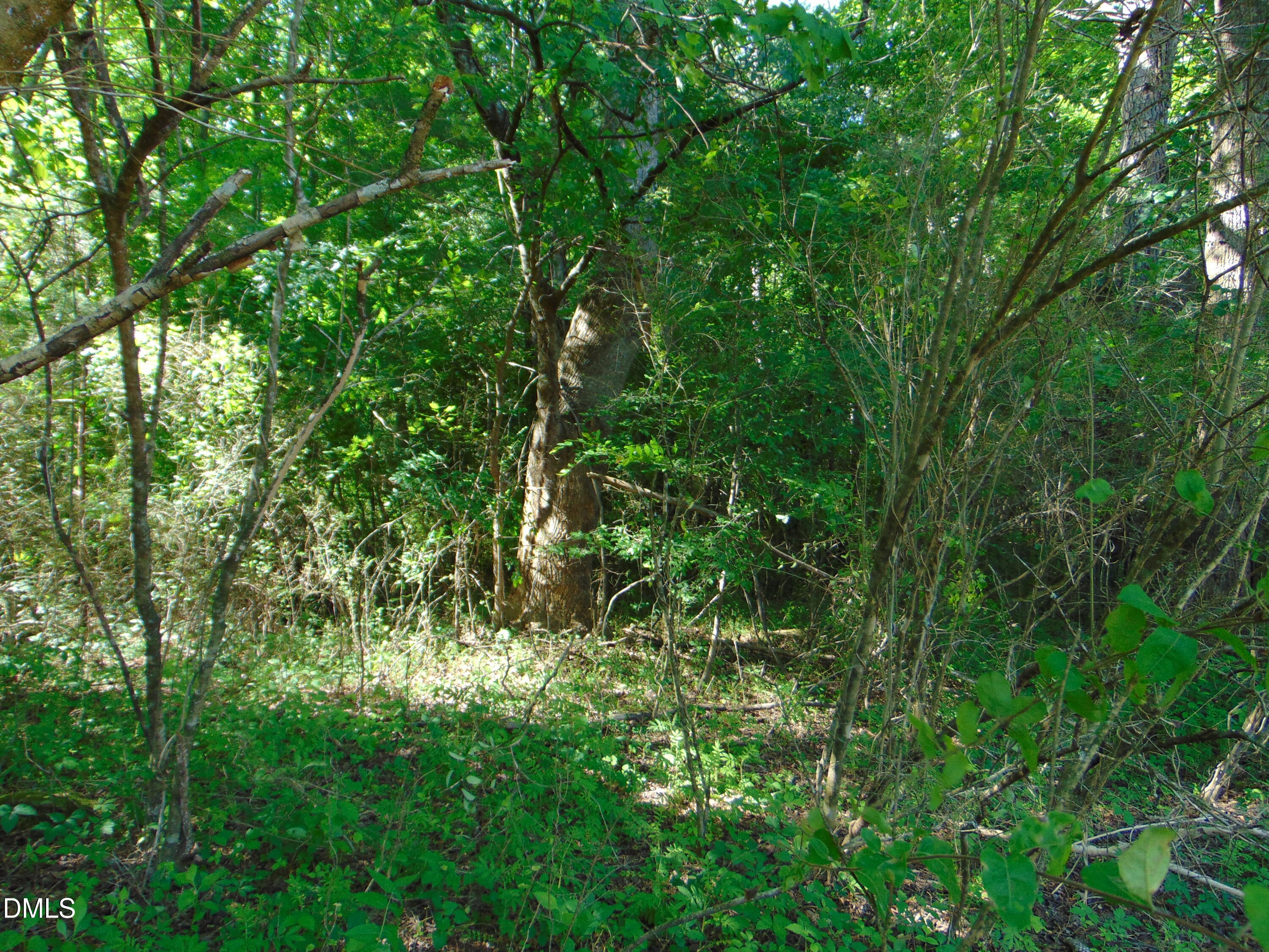 0 Big Woods Road Macon, NC 27551 - Photo 28 of 28
