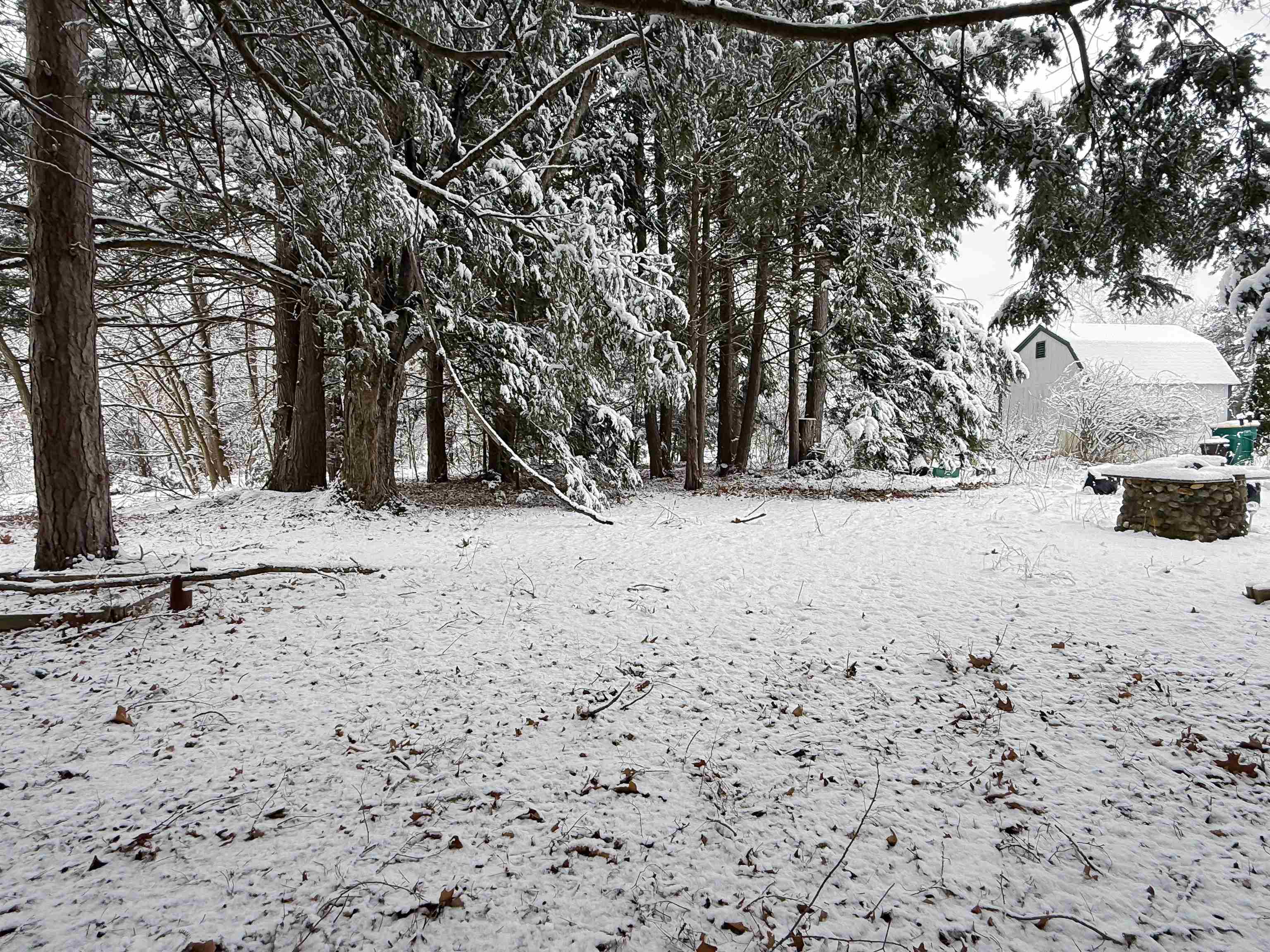 6 Scotland Road Kingston, NH 03848 - Photo 25 of 30