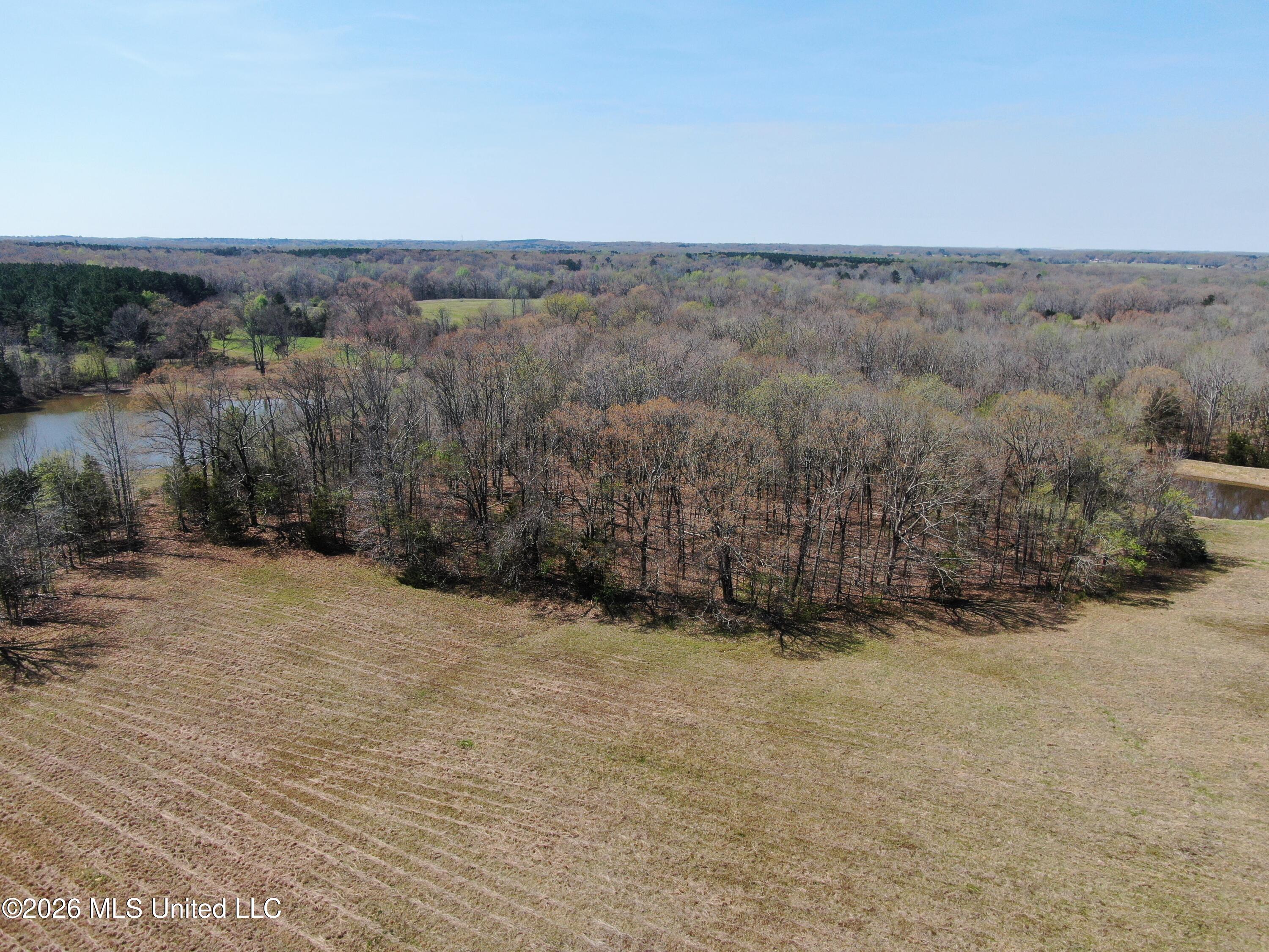 1800 Concord Road Lamar, MS 38642 - Photo 12 of 43 DJI_0879