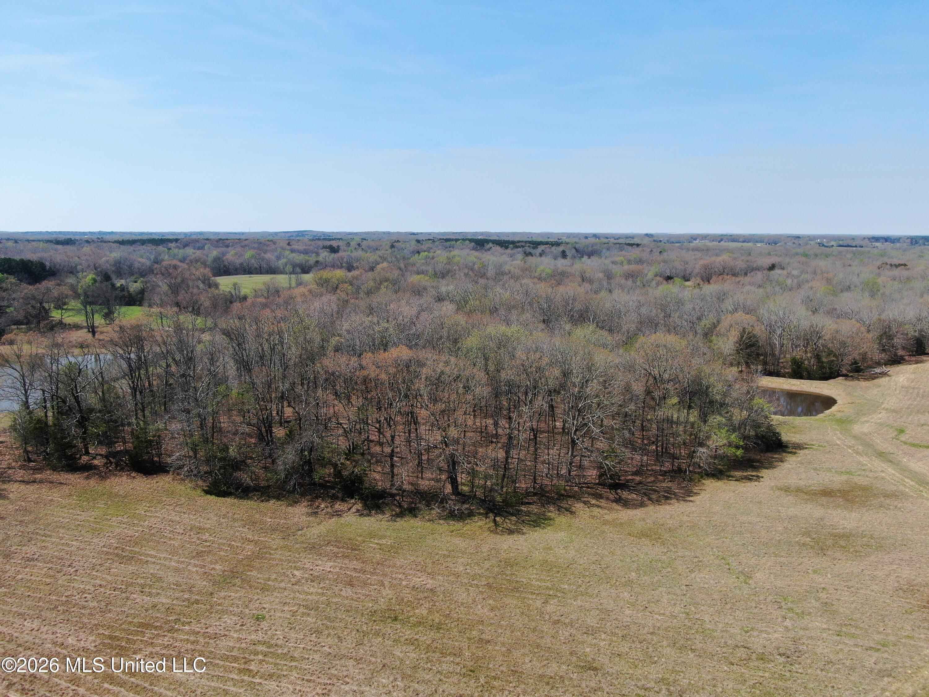 1800 Concord Road Lamar, MS 38642 - Photo 13 of 43 DJI_0880