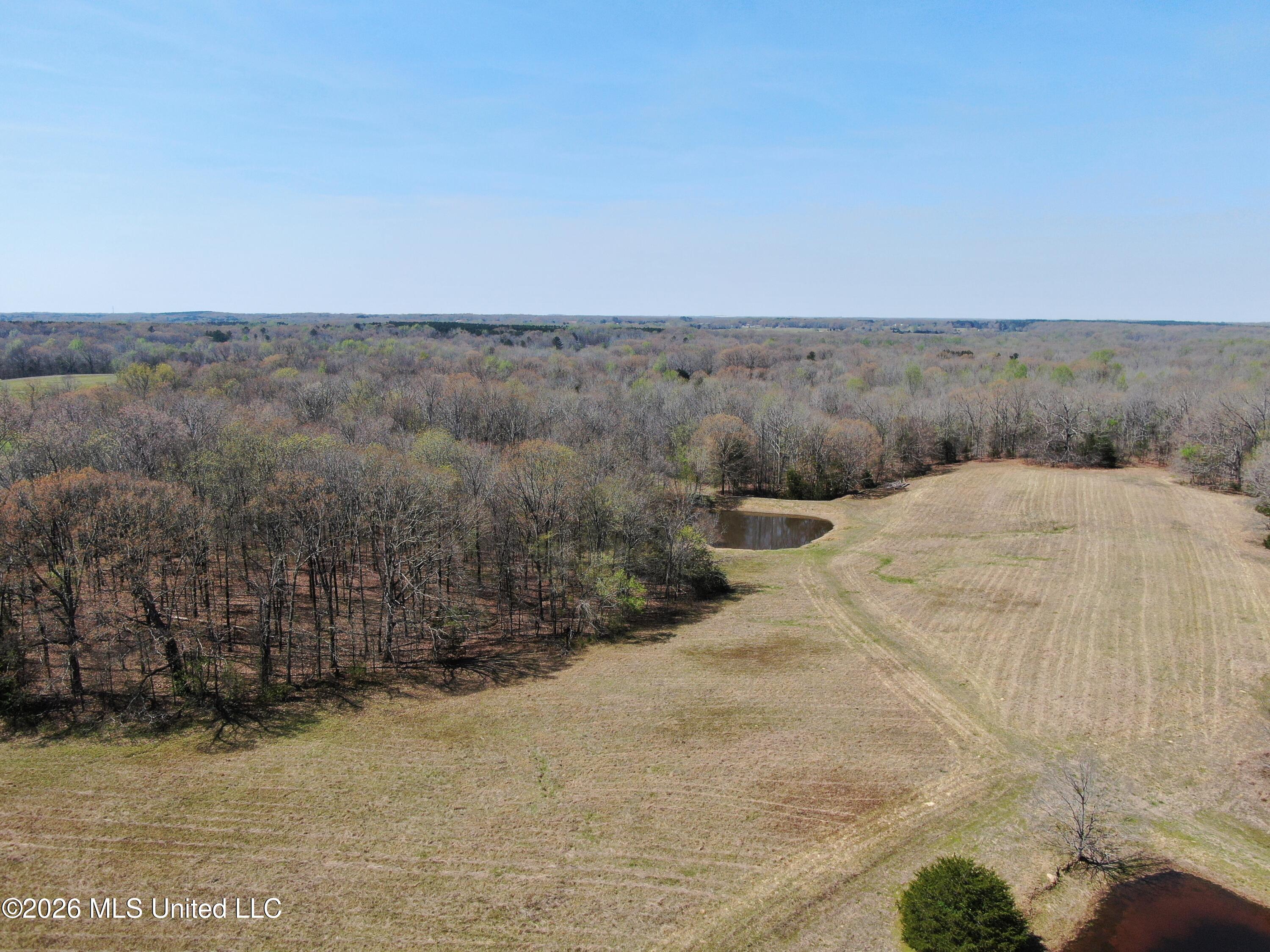 1800 Concord Road Lamar, MS 38642 - Photo 14 of 43 DJI_0881