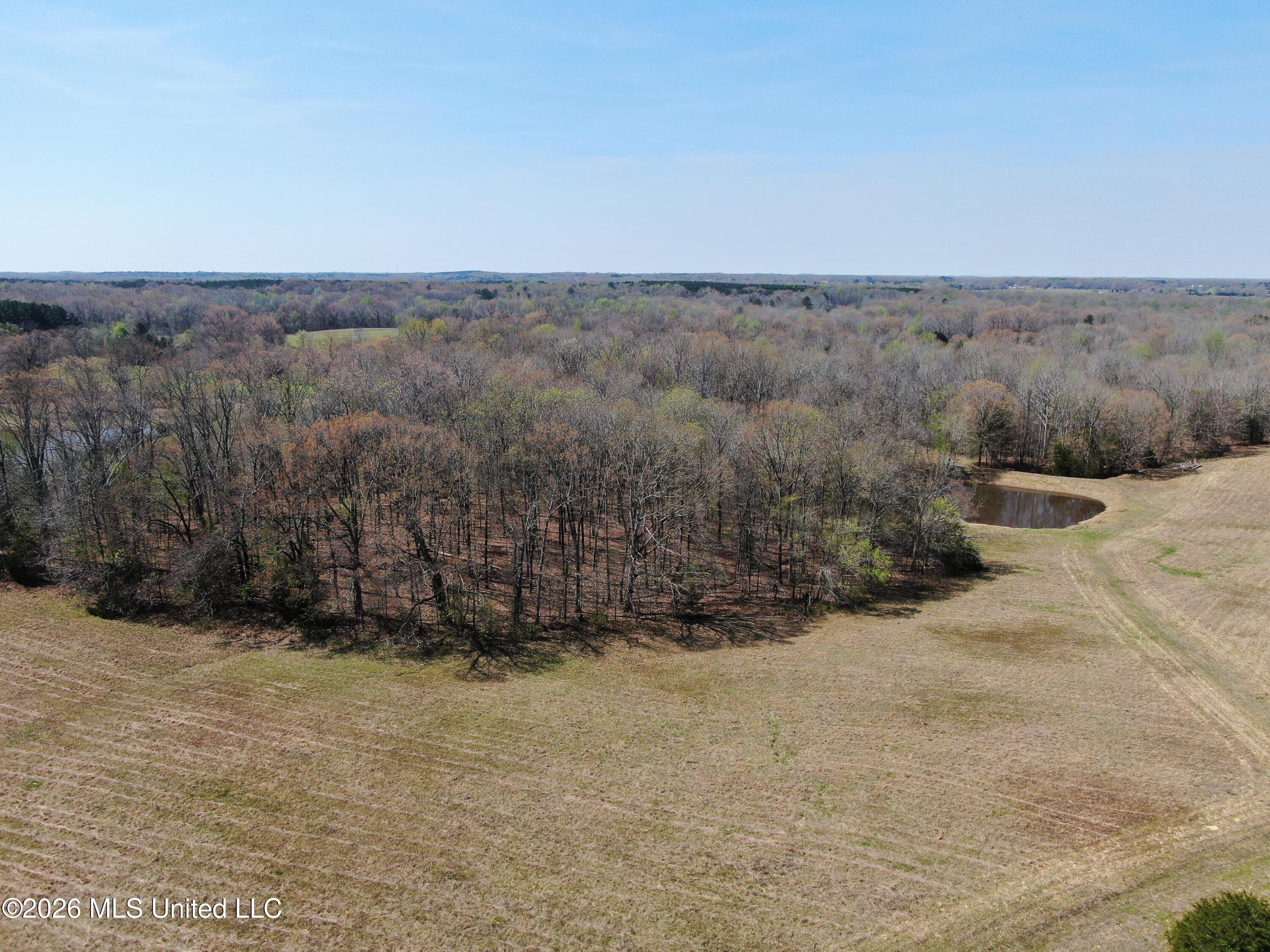 1800 Concord Road Lamar, MS 38642 - Photo 15 of 43 DJI_0882
