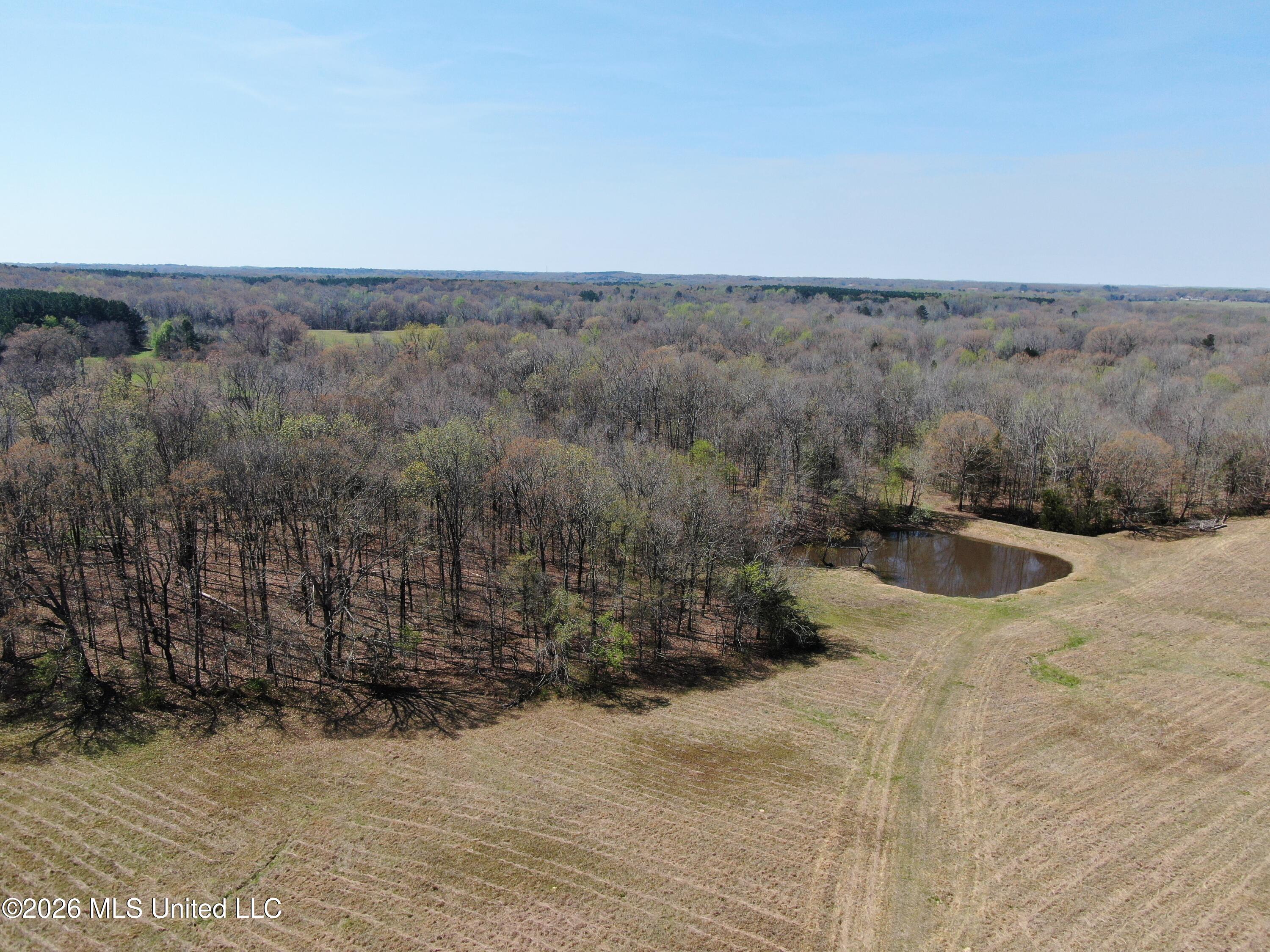 1800 Concord Road Lamar, MS 38642 - Photo 16 of 43 DJI_0883