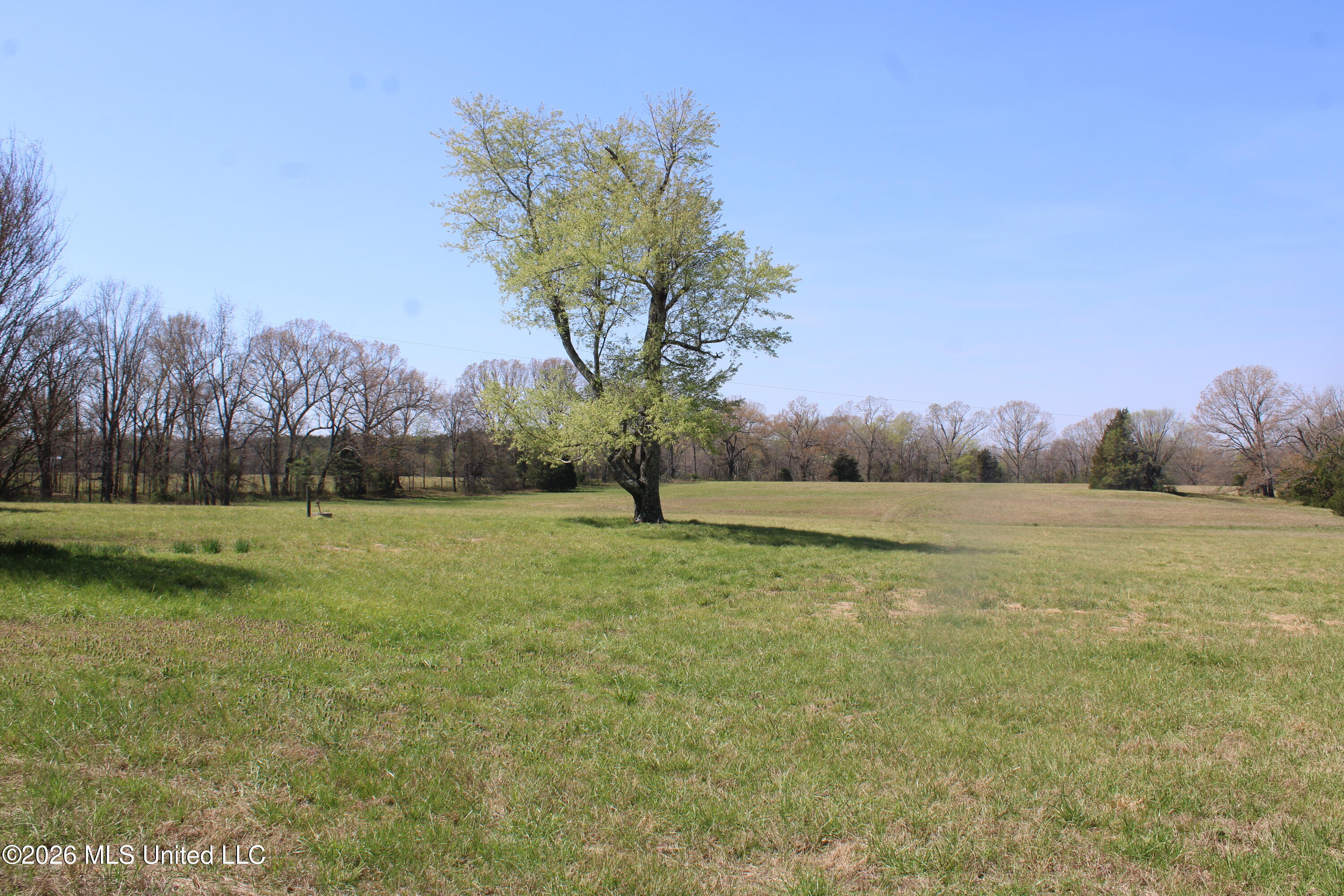 1800 Concord Road Lamar, MS 38642 - Photo 19 of 43 IMG_7586