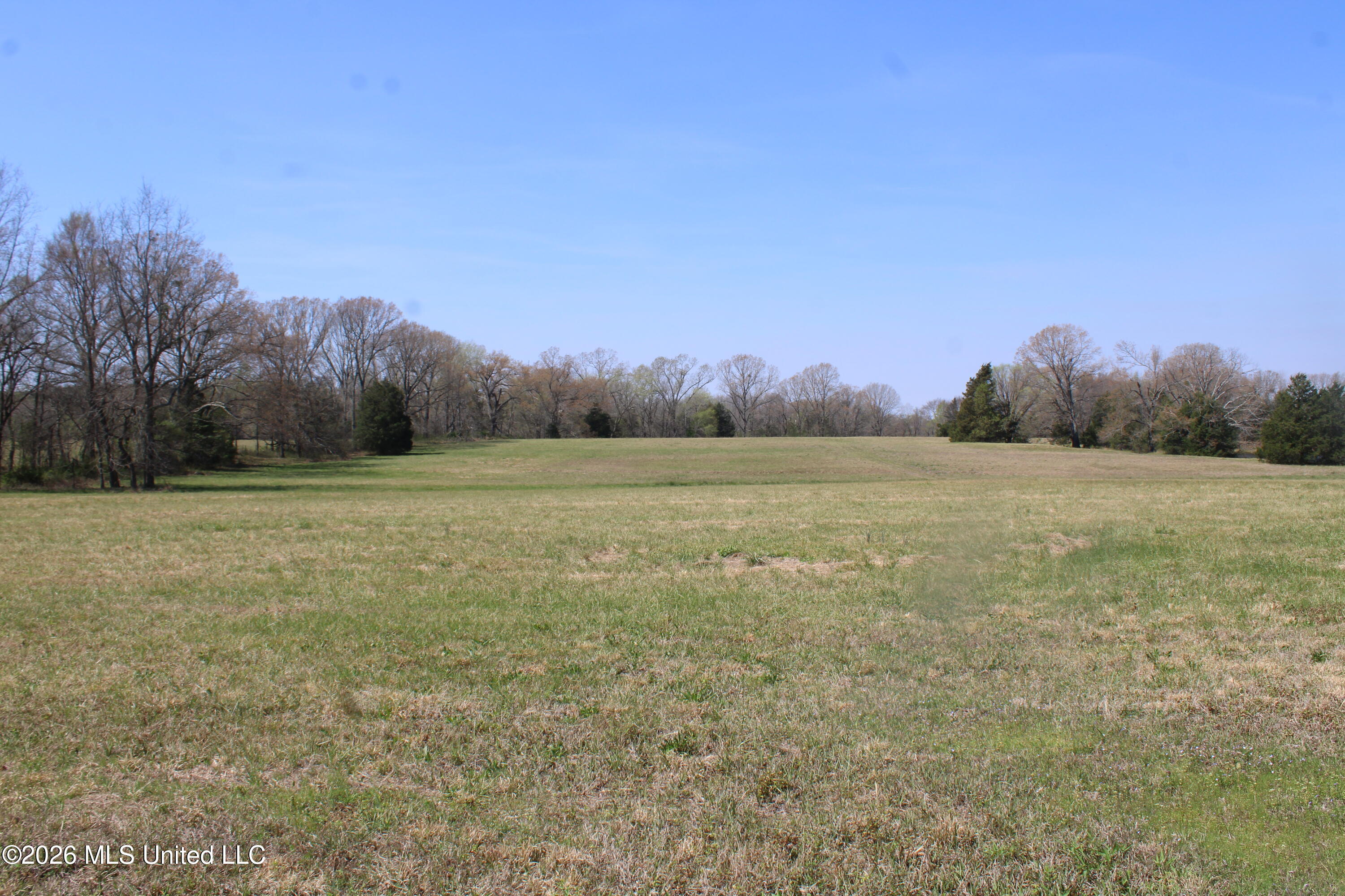 1800 Concord Road Lamar, MS 38642 - Photo 20 of 43 IMG_7587