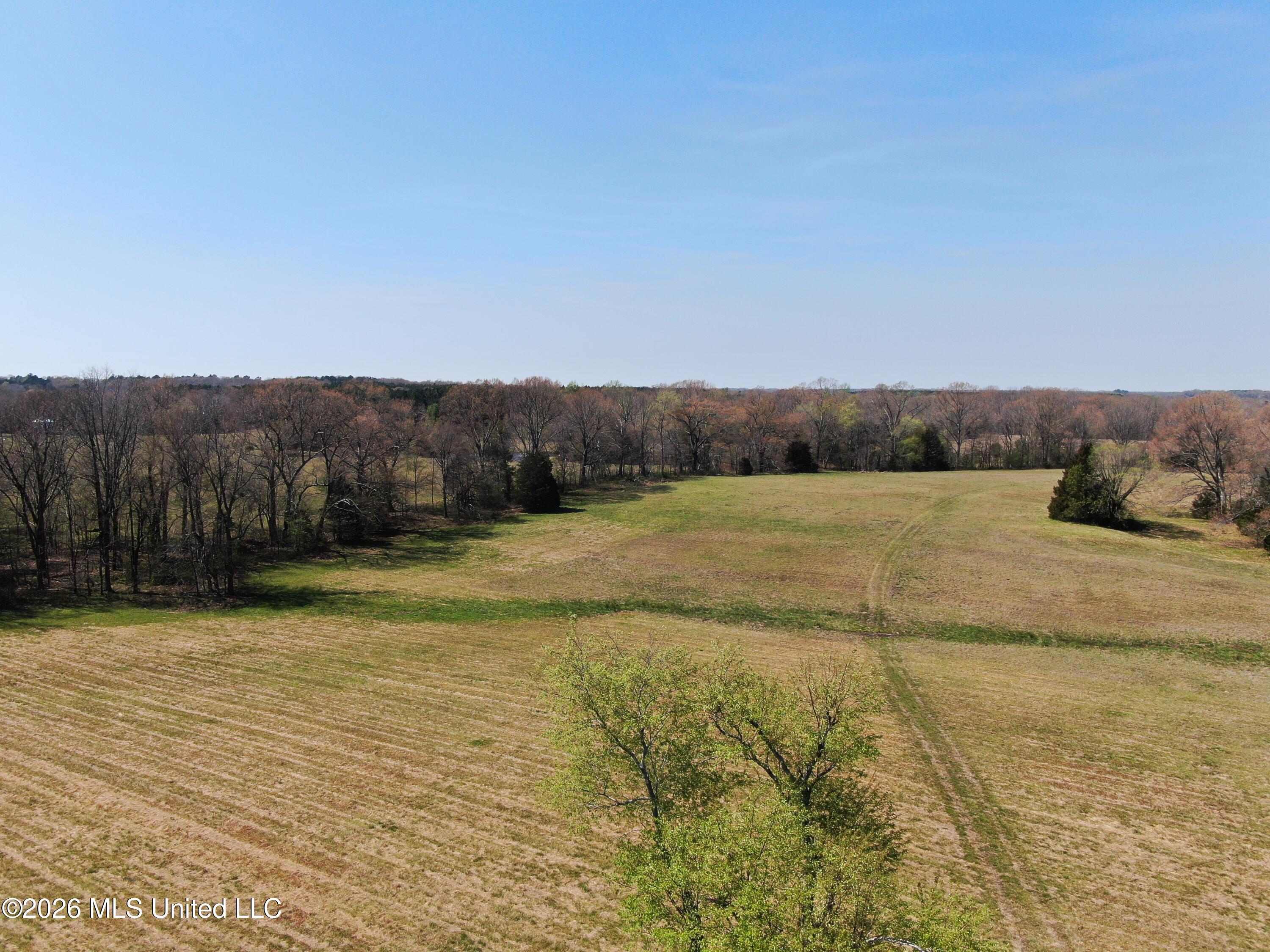 1800 Concord Road Lamar, MS 38642 - Photo 2 of 43 DJI_0861