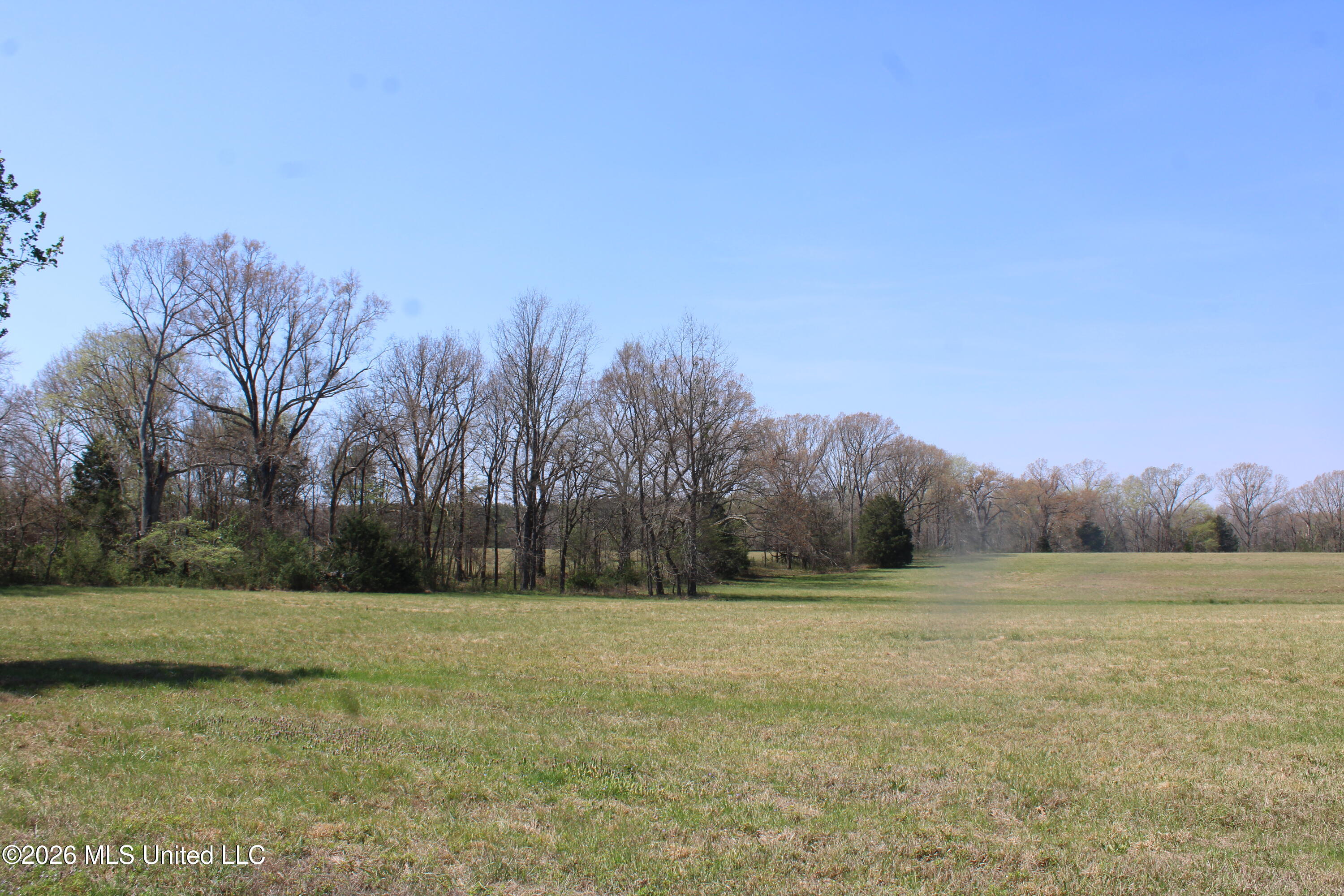 1800 Concord Road Lamar, MS 38642 - Photo 21 of 43 IMG_7588