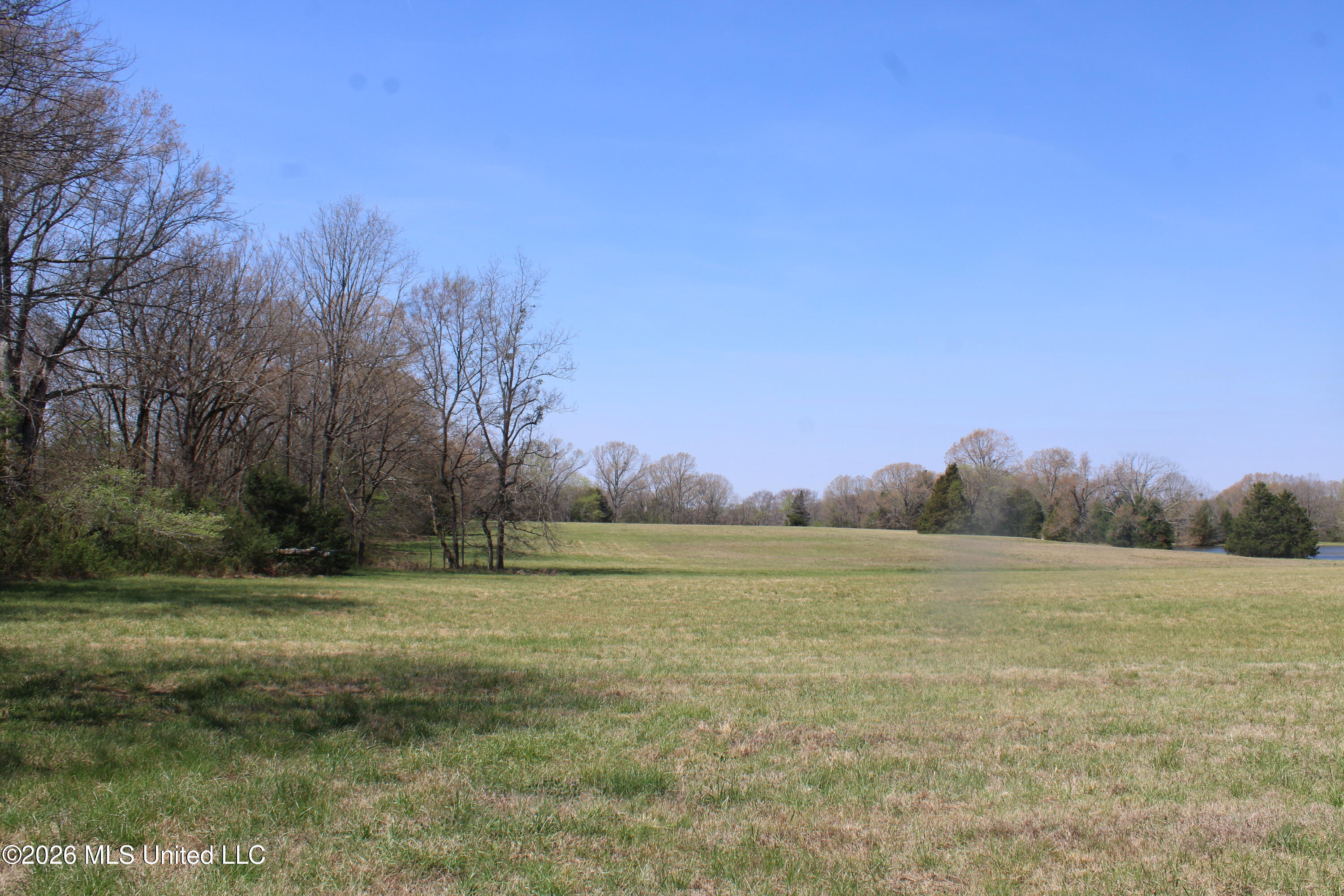 1800 Concord Road Lamar, MS 38642 - Photo 22 of 43 IMG_7589