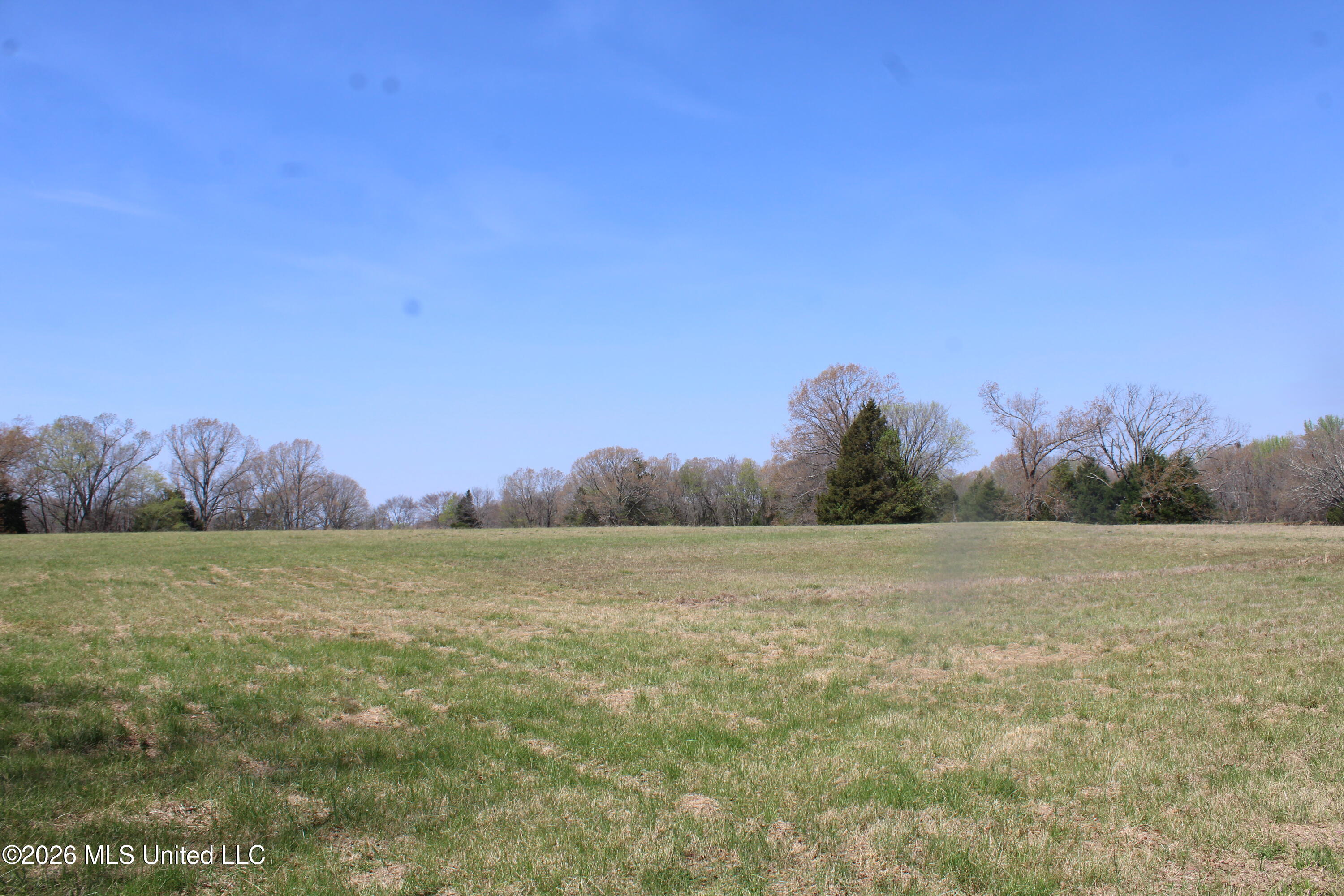 1800 Concord Road Lamar, MS 38642 - Photo 23 of 43 IMG_7591