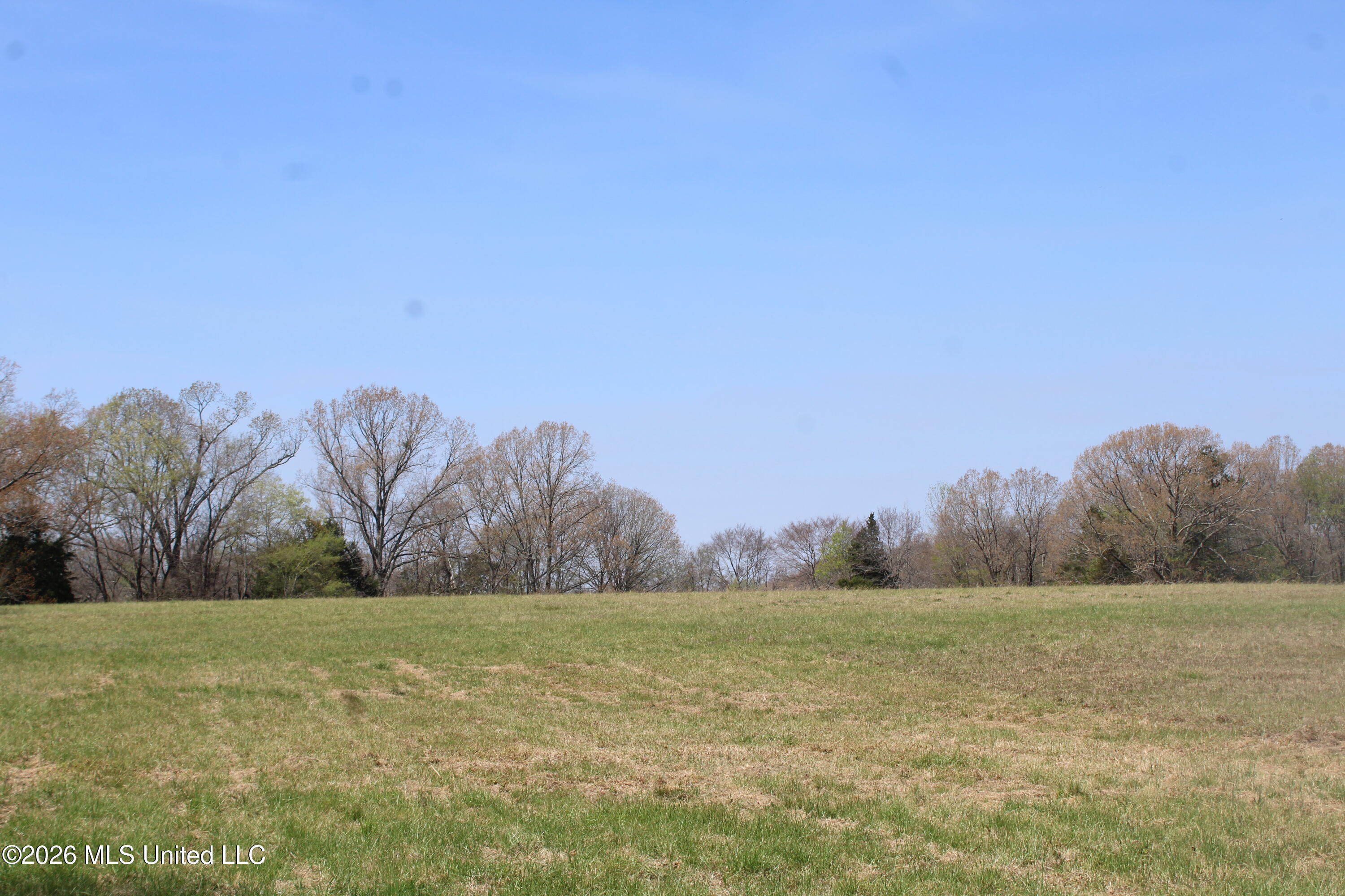 1800 Concord Road Lamar, MS 38642 - Photo 24 of 43 IMG_7592