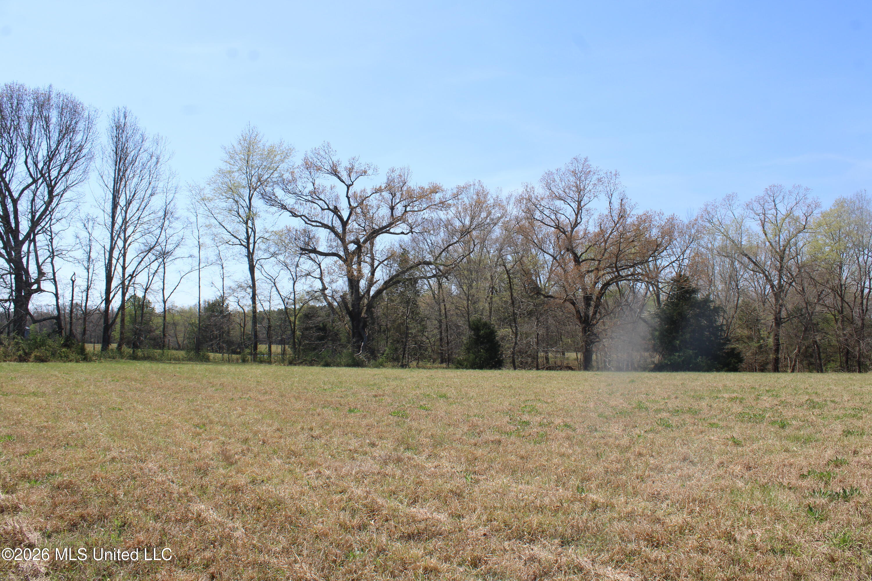 1800 Concord Road Lamar, MS 38642 - Photo 27 of 43 IMG_7595