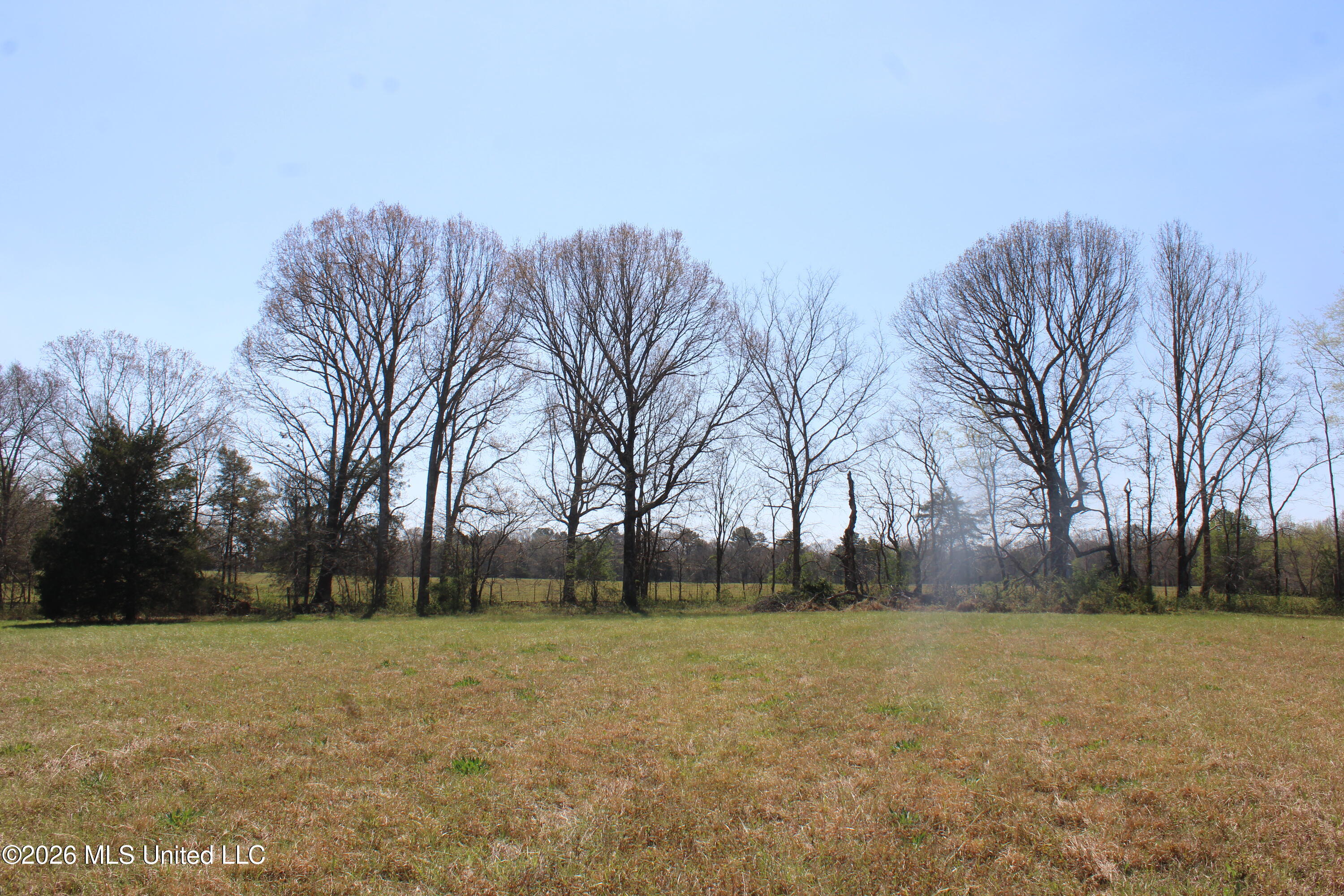 1800 Concord Road Lamar, MS 38642 - Photo 28 of 43 IMG_7596