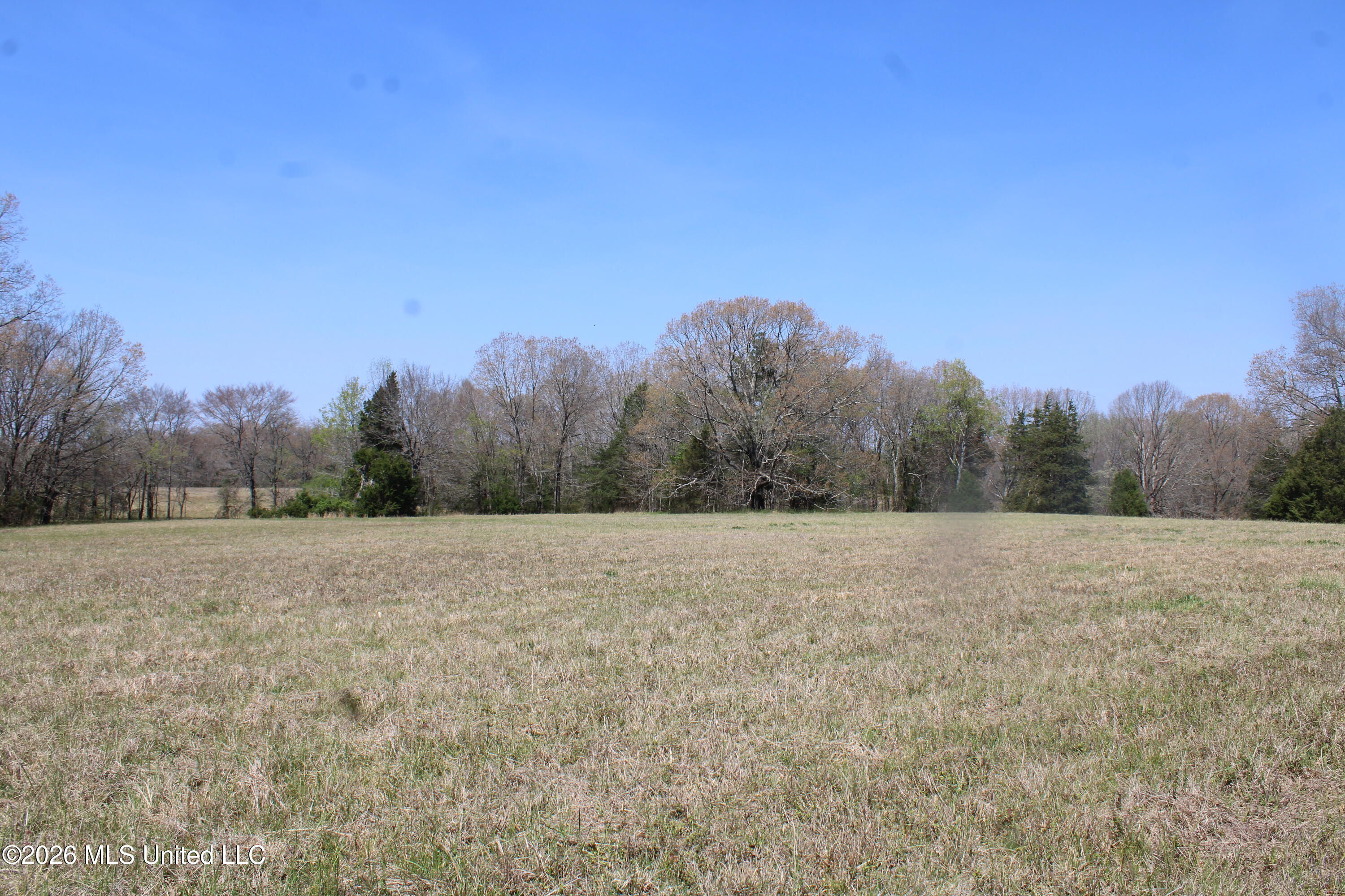 1800 Concord Road Lamar, MS 38642 - Photo 29 of 43 IMG_7597