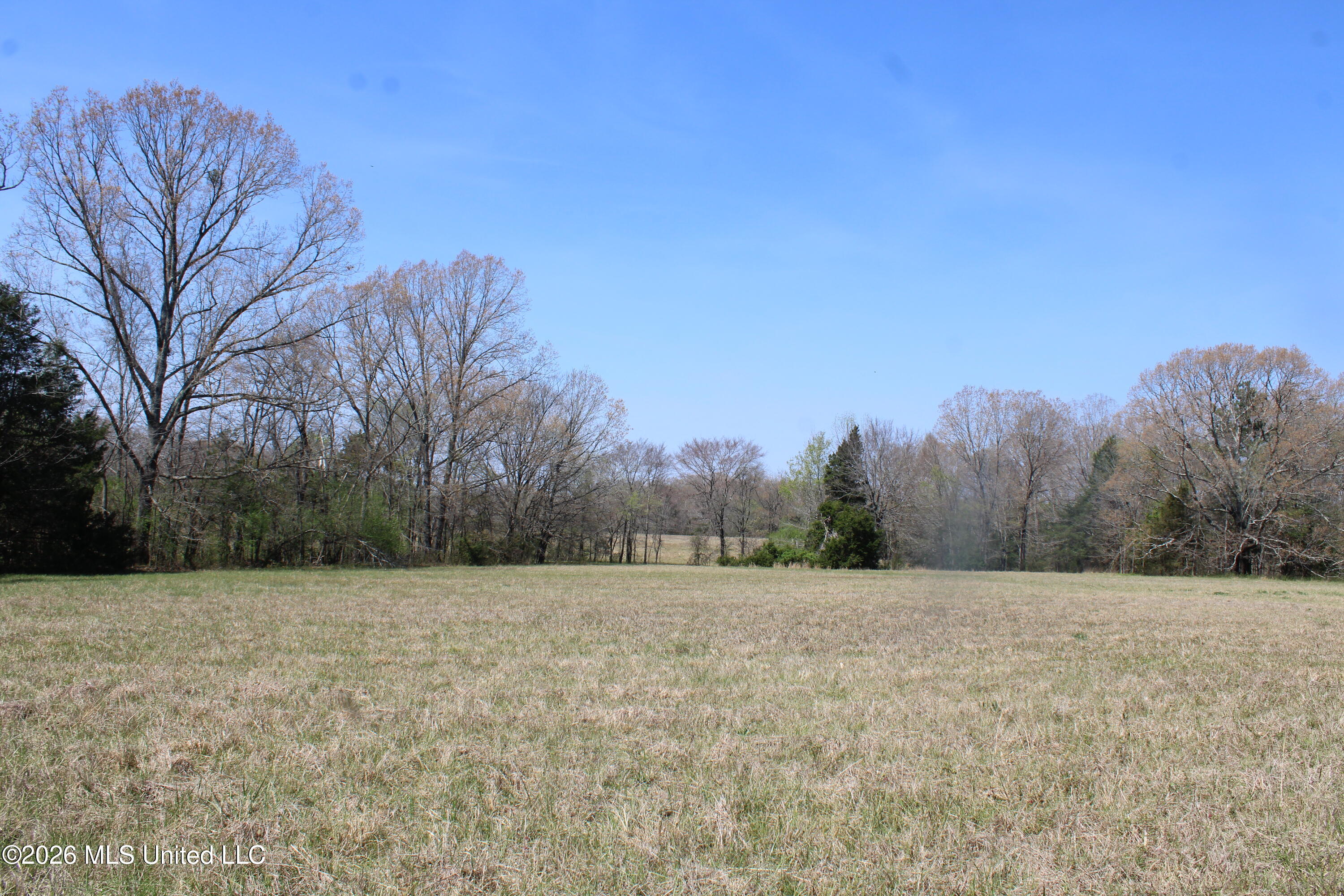 1800 Concord Road Lamar, MS 38642 - Photo 30 of 43 IMG_7598