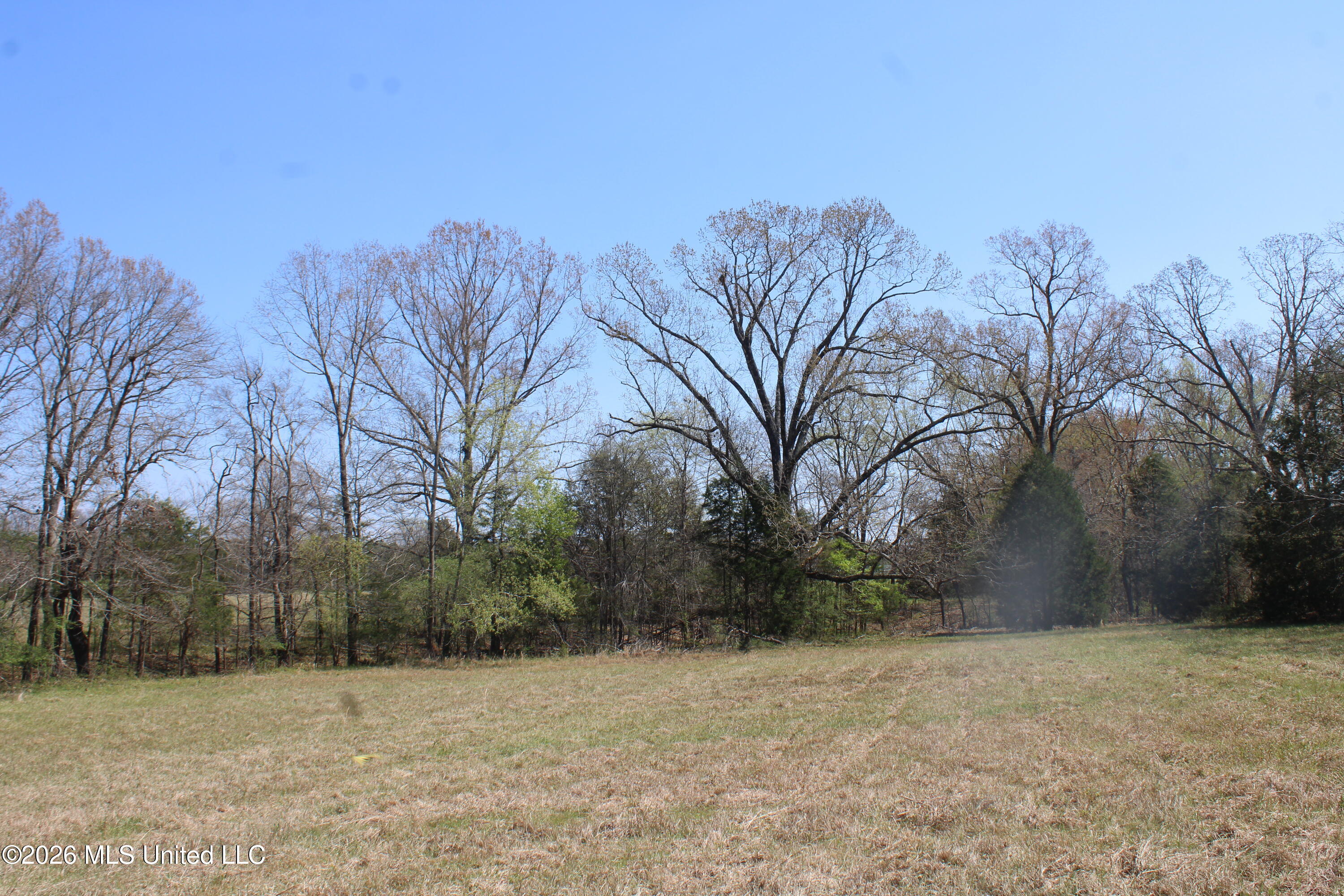 1800 Concord Road Lamar, MS 38642 - Photo 31 of 43 IMG_7602