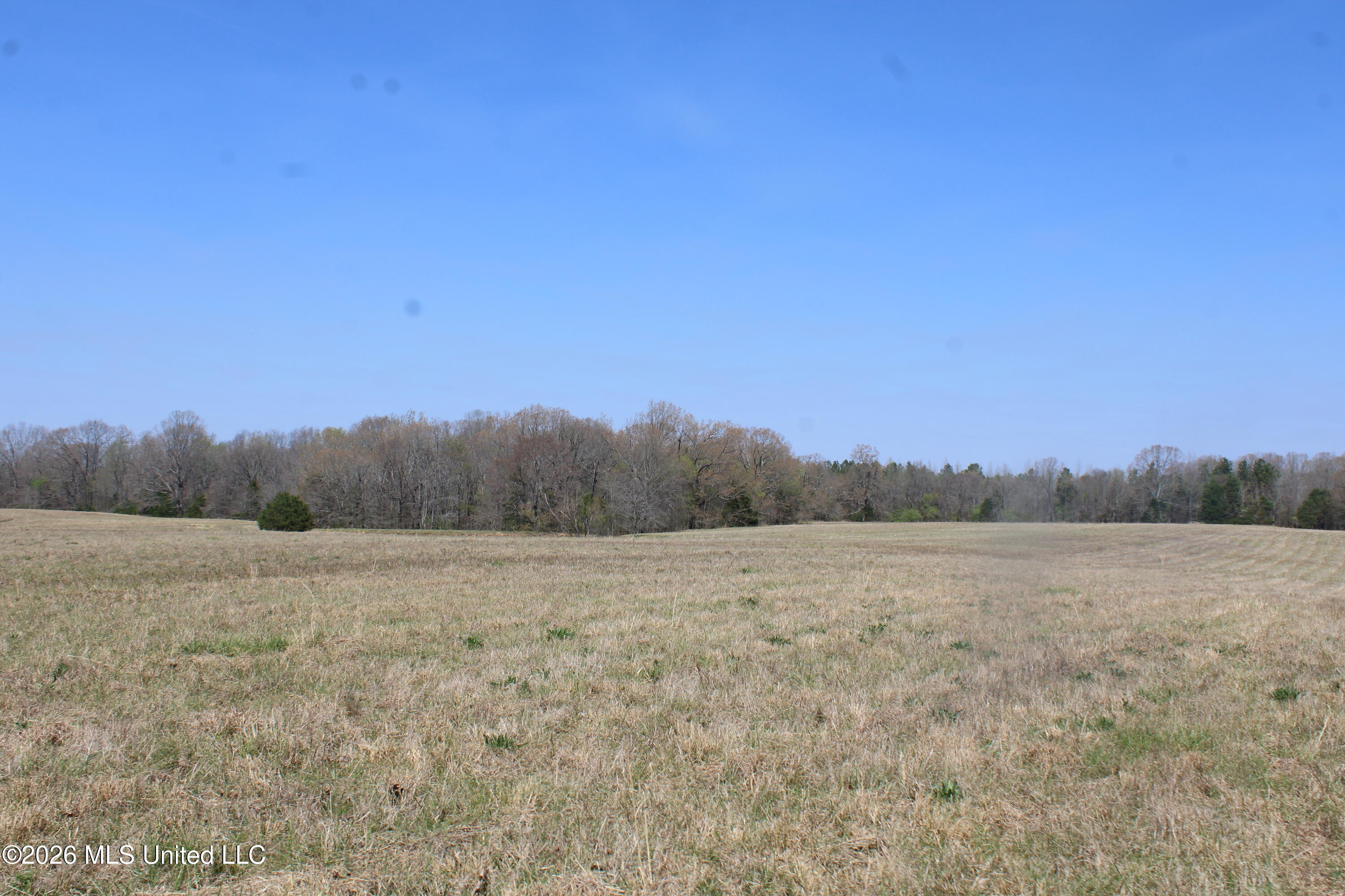 1800 Concord Road Lamar, MS 38642 - Photo 33 of 43 IMG_7604