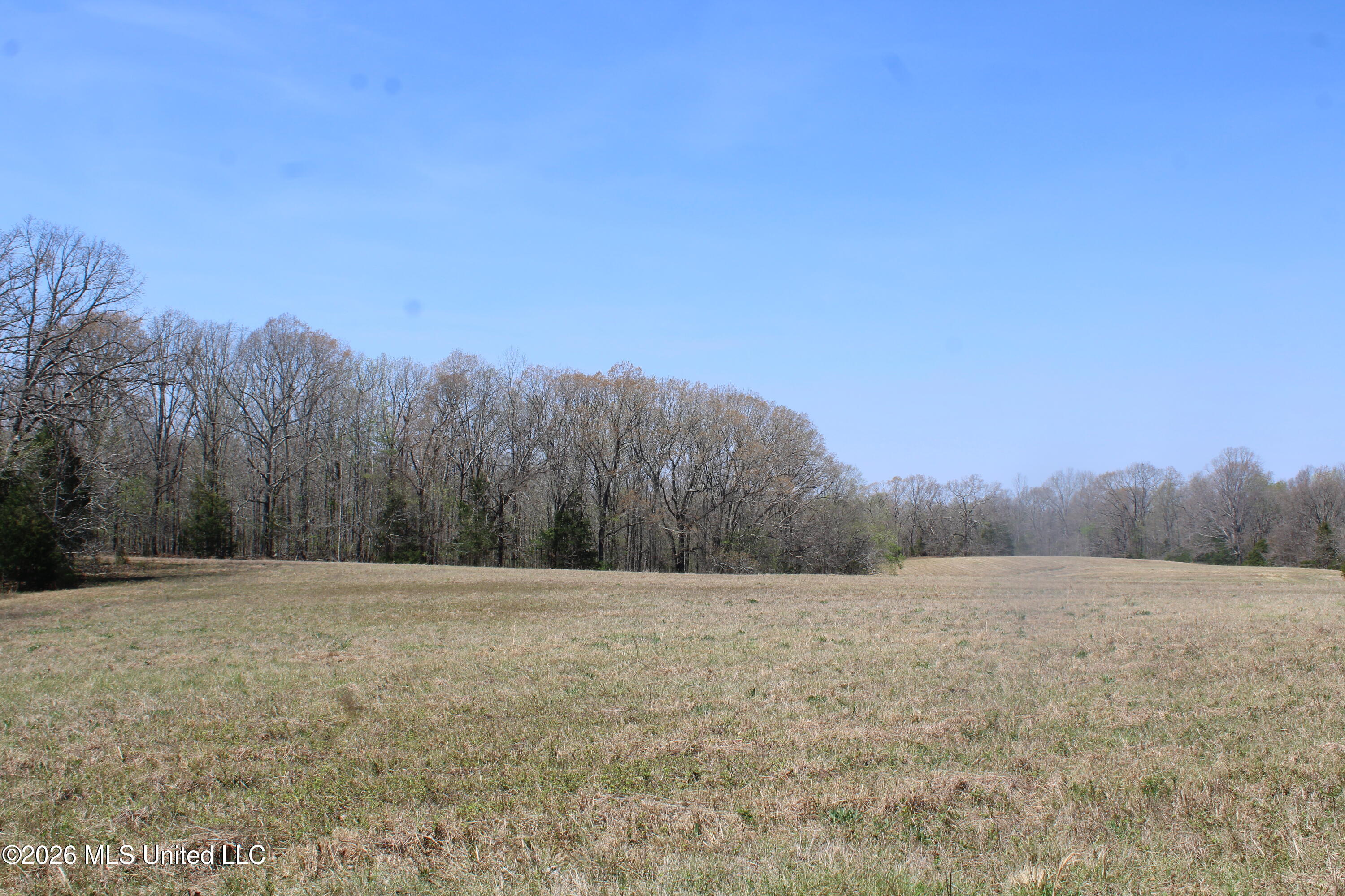 1800 Concord Road Lamar, MS 38642 - Photo 34 of 43 IMG_7605