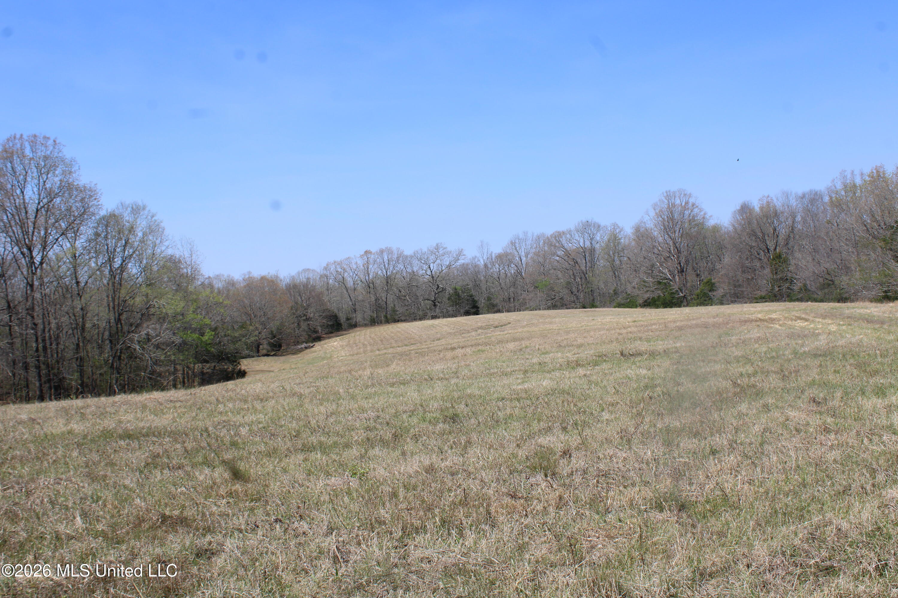 1800 Concord Road Lamar, MS 38642 - Photo 35 of 43 IMG_7606