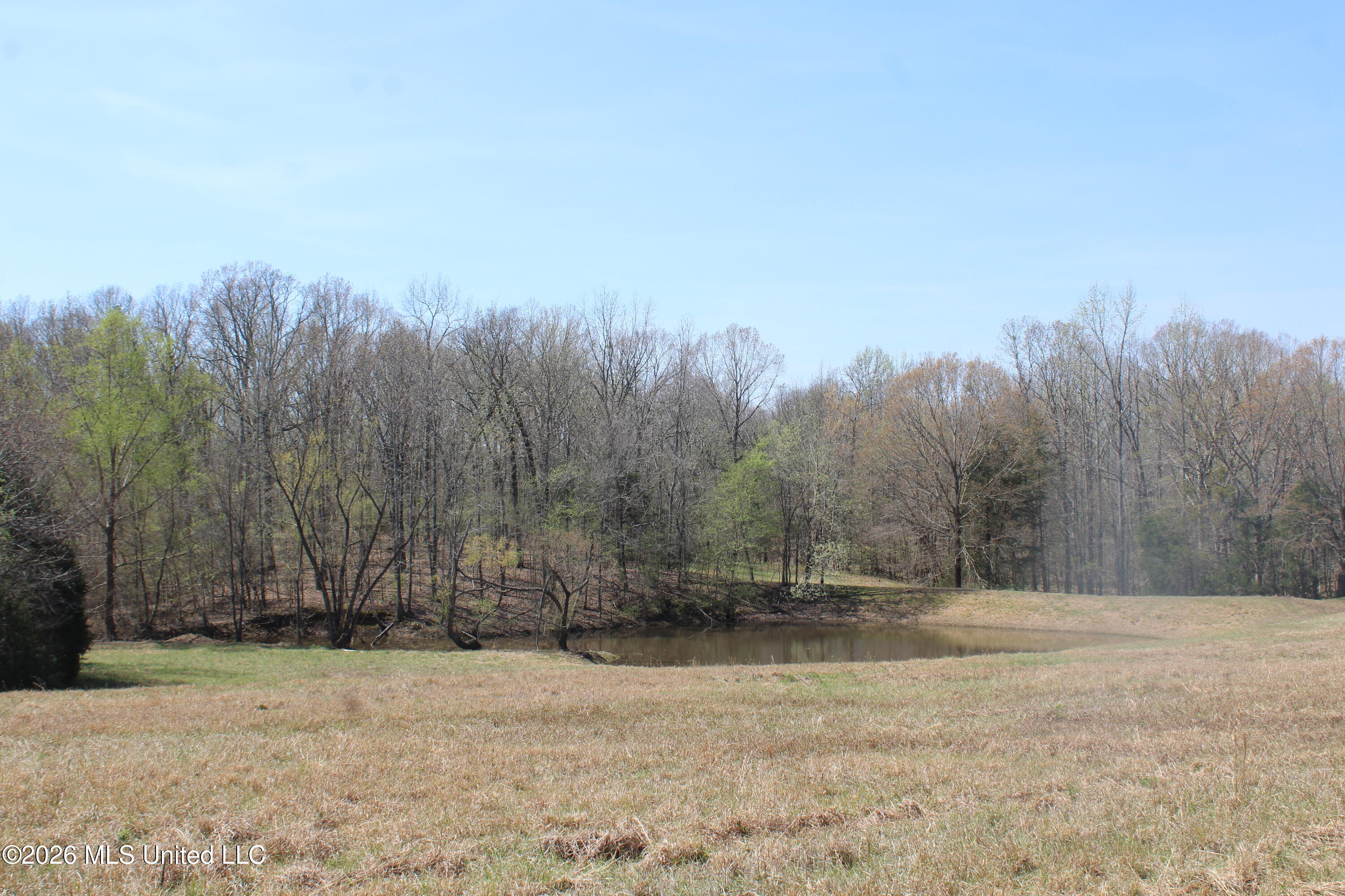 1800 Concord Road Lamar, MS 38642 - Photo 36 of 43 IMG_7607