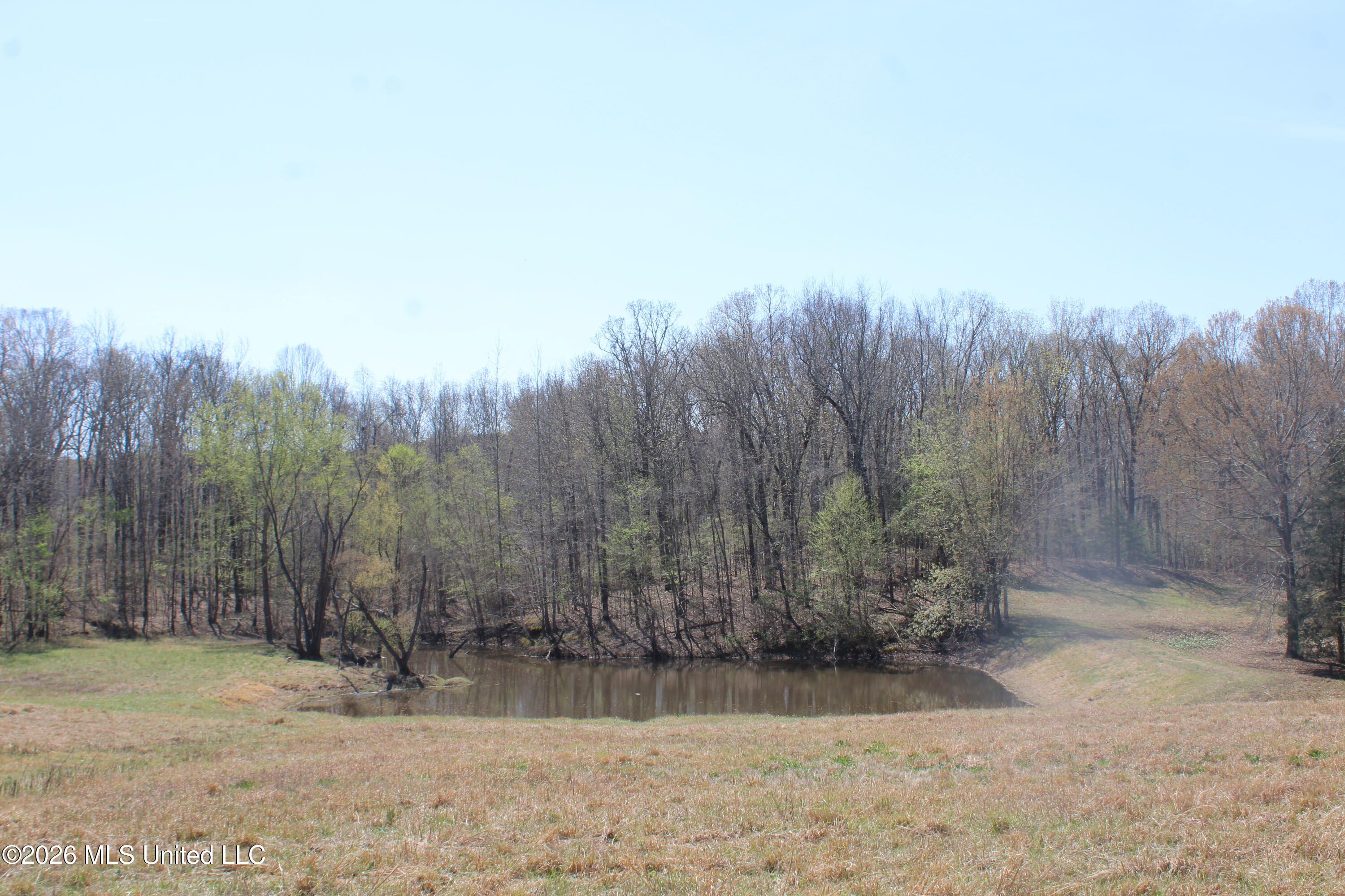 1800 Concord Road Lamar, MS 38642 - Photo 37 of 43 IMG_7608