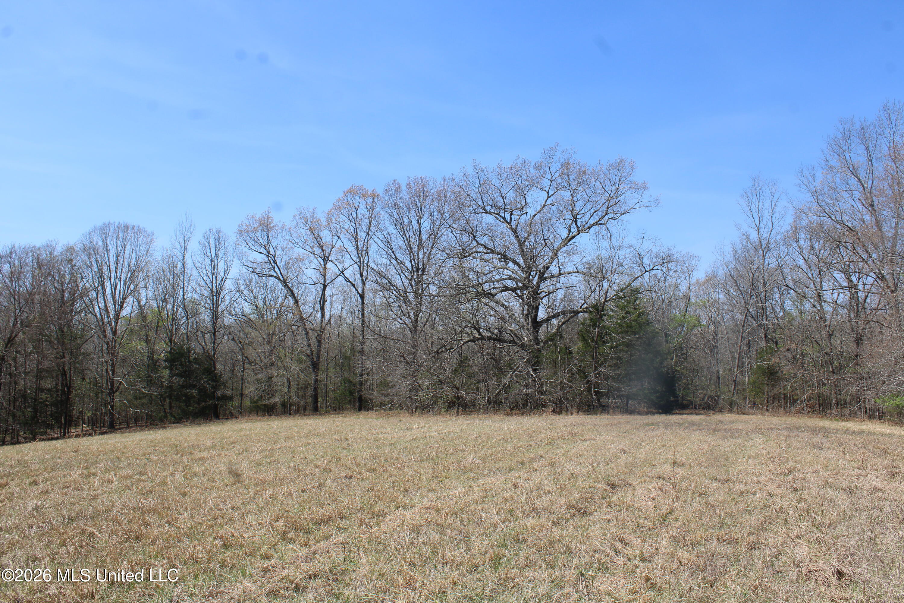 1800 Concord Road Lamar, MS 38642 - Photo 38 of 43 IMG_7609