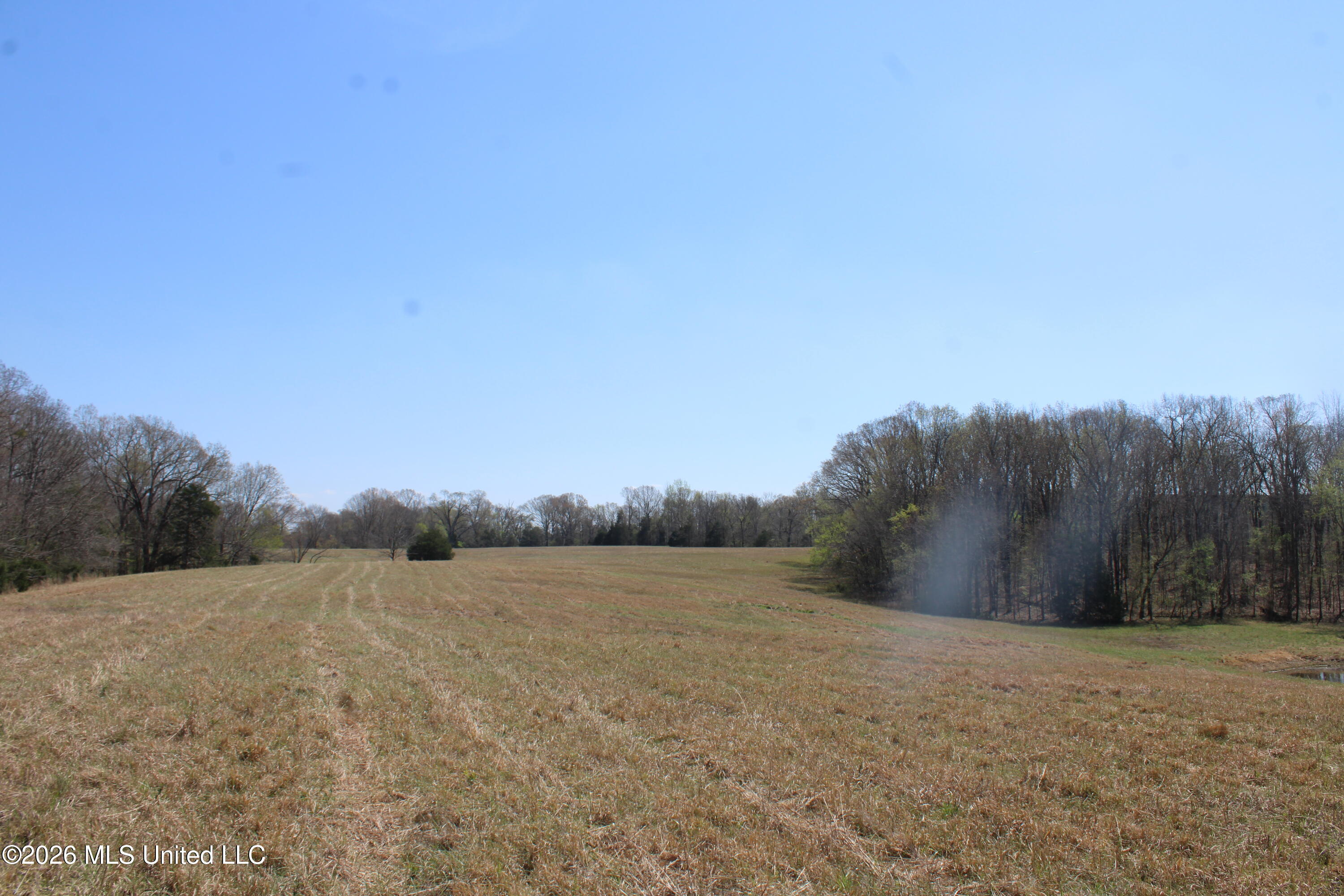 1800 Concord Road Lamar, MS 38642 - Photo 39 of 43 IMG_7610