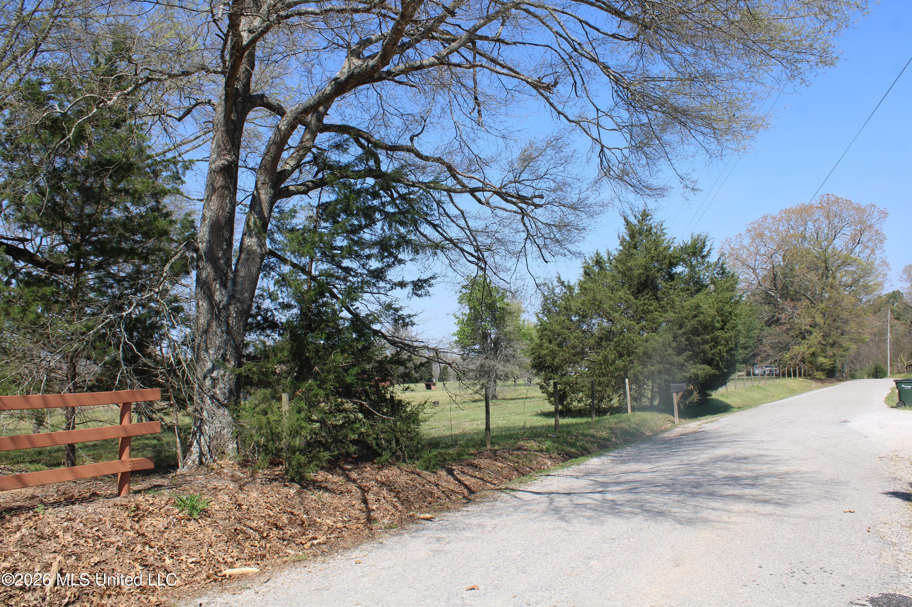 1800 Concord Road Lamar, MS 38642 - Photo 40 of 43 IMG_7590