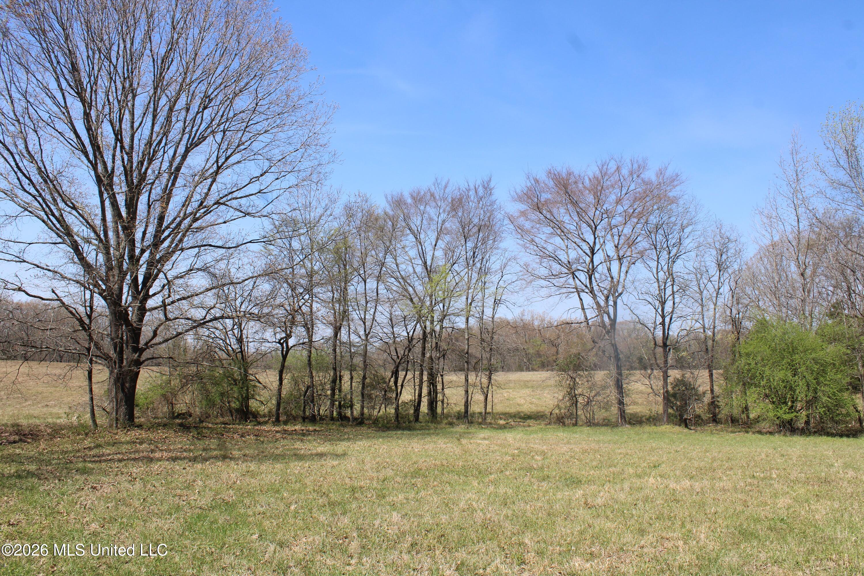 1800 Concord Road Lamar, MS 38642 - Photo 41 of 43 IMG_7599