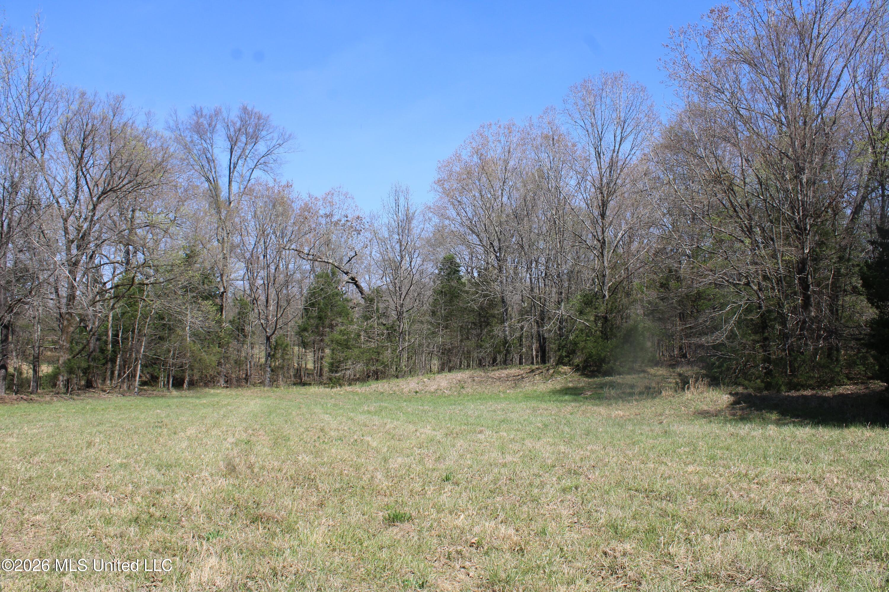 1800 Concord Road Lamar, MS 38642 - Photo 42 of 43 IMG_7600