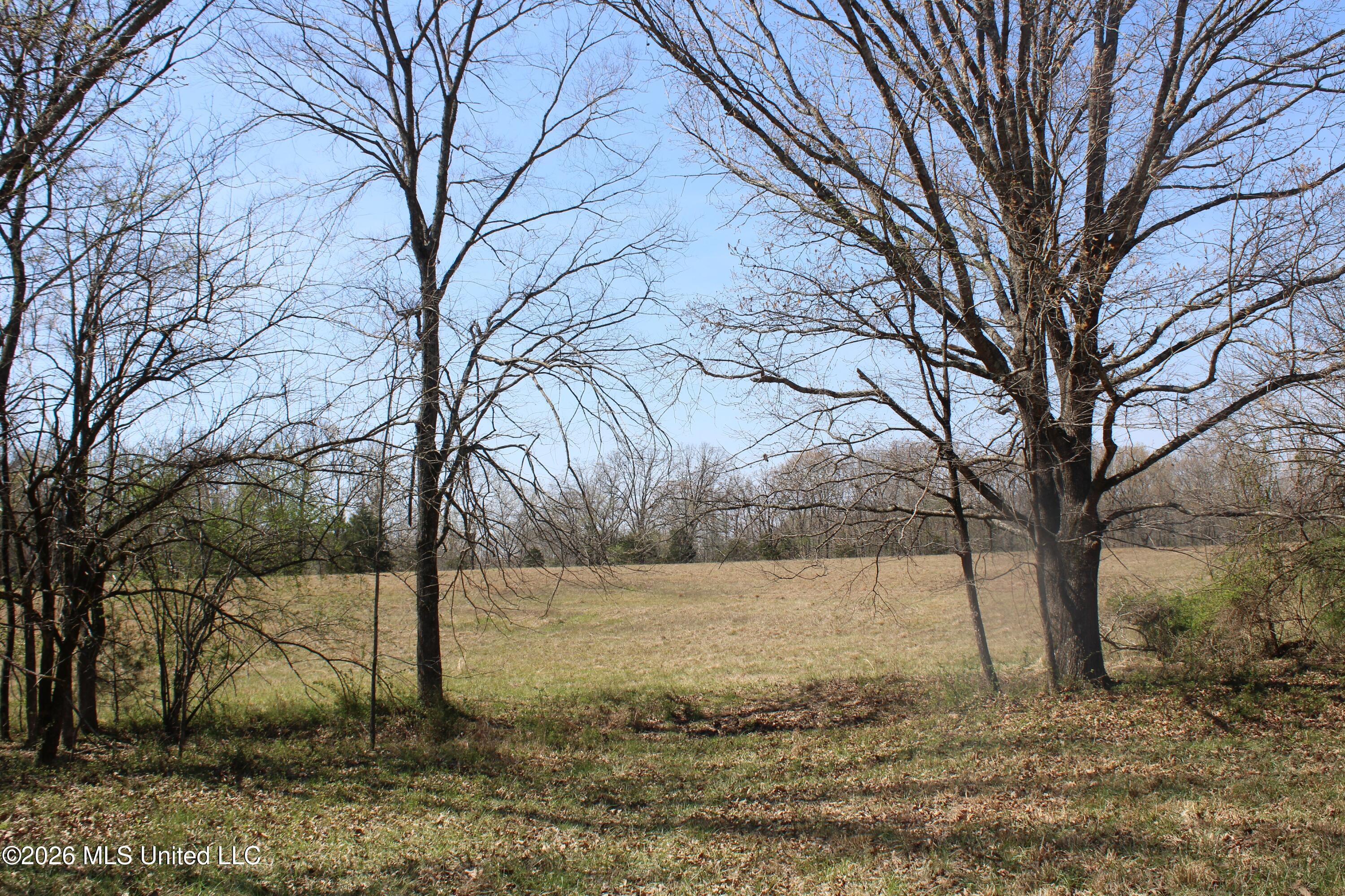 1800 Concord Road Lamar, MS 38642 - Photo 43 of 43 IMG_7601