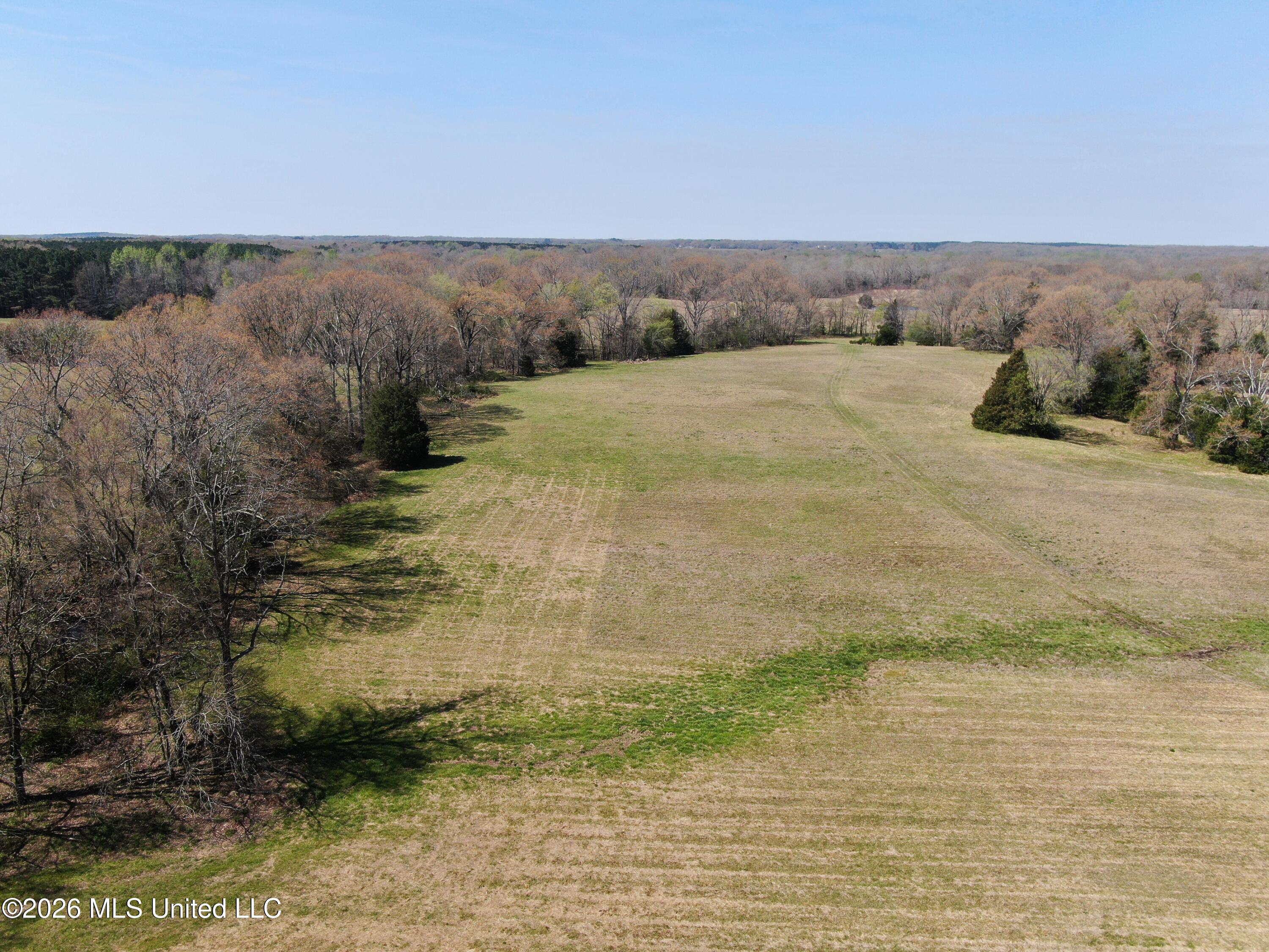 1800 Concord Road Lamar, MS 38642 - Photo 5 of 43 DJI_0864