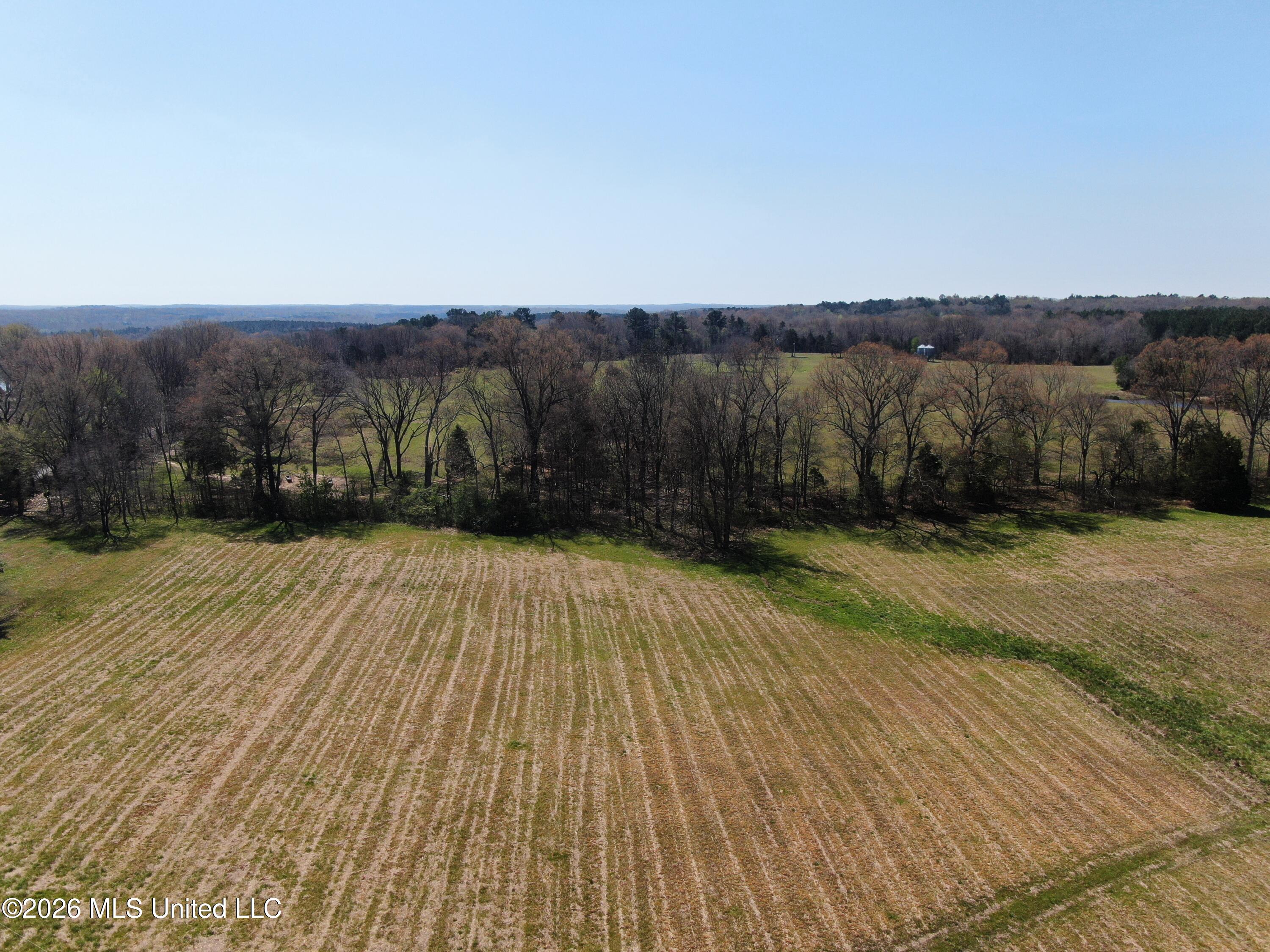 1800 Concord Road Lamar, MS 38642 - Photo 6 of 43 DJI_0865