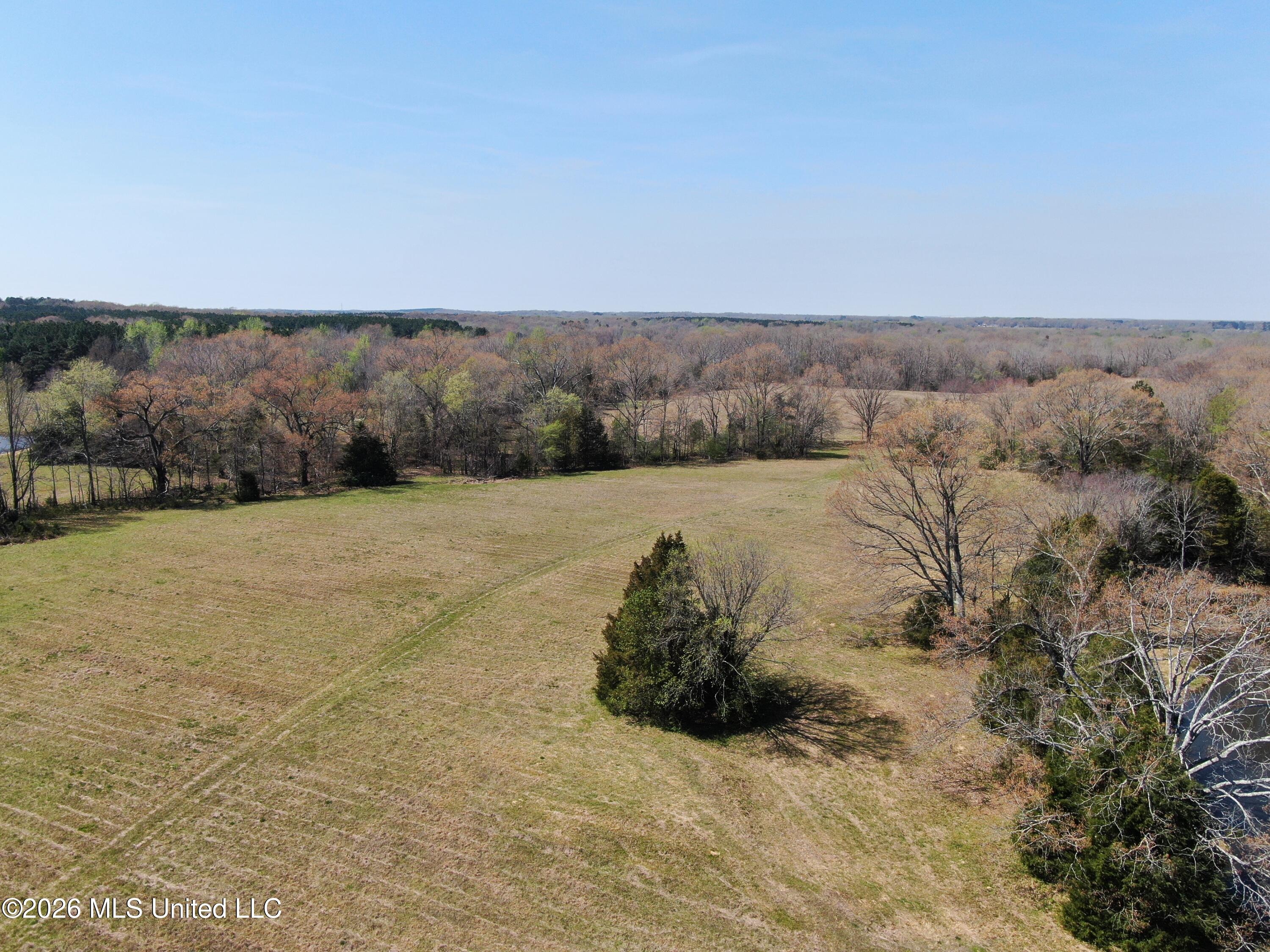 1800 Concord Road Lamar, MS 38642 - Photo 7 of 43 DJI_0866