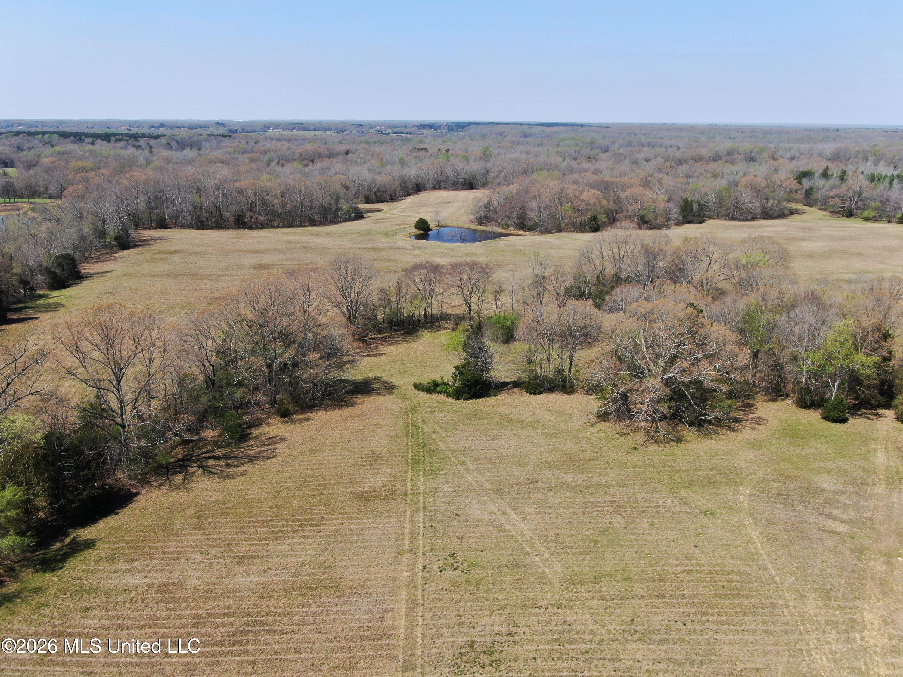 1800 Concord Road Lamar, MS 38642 - Photo 8 of 43 DJI_0867