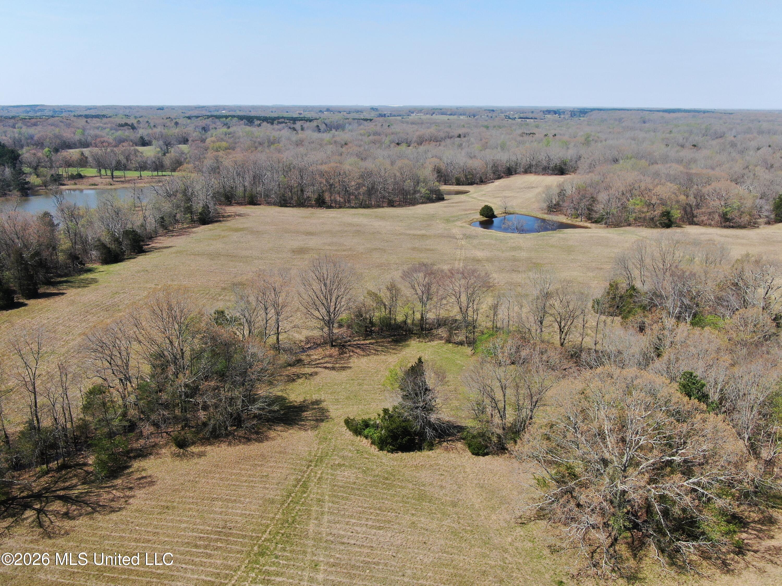 1800 Concord Road Lamar, MS 38642 - Photo 9 of 43 DJI_0868