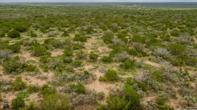 a view of a big yard