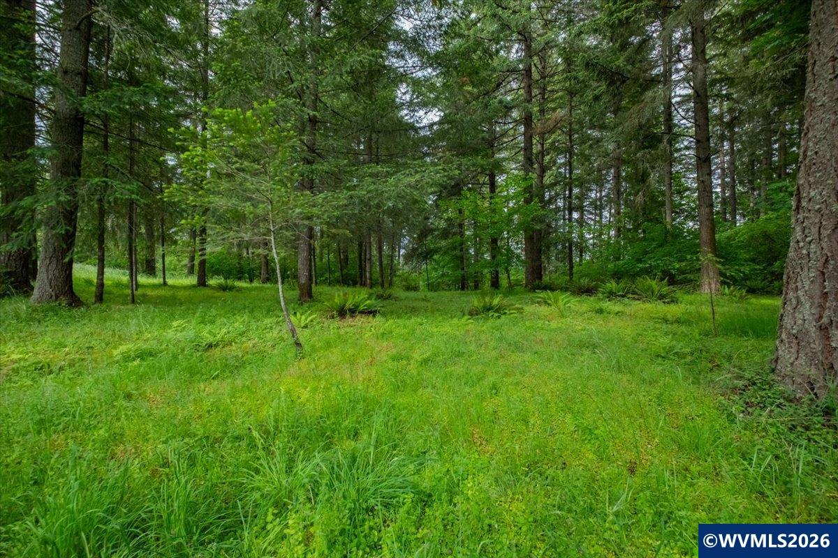 0057485 Next To 40587 Baptist Church Road Lebanon, OR 97355 - Photo 36 of 38