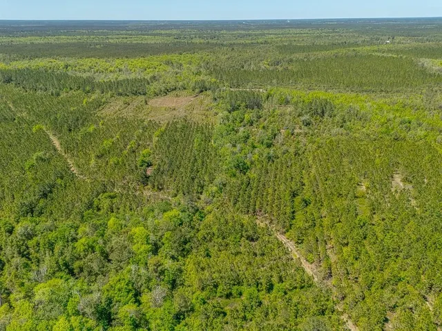 $935,000 | 88 Minnesota Road, Screven, GA 31560