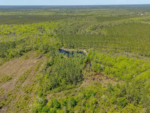 $935,000 | 88 Minnesota Road, Screven, GA 31560