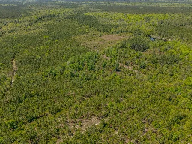 $935,000 | 88 Minnesota Road, Screven, GA 31560