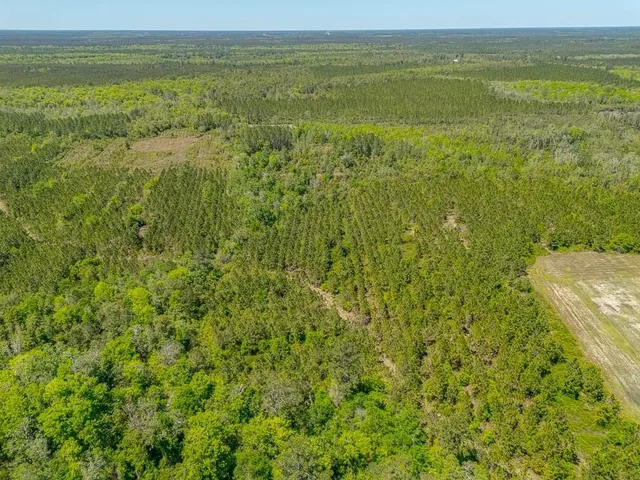 $935,000 | 88 Minnesota Road, Screven, GA 31560