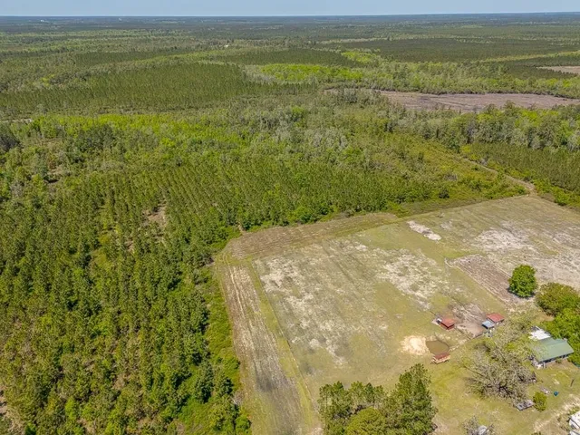 $935,000 | 88 Minnesota Road, Screven, GA 31560