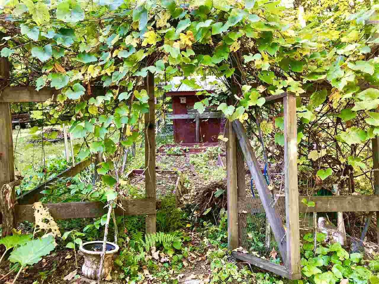 108 Falls Brook Road Dummerston, VT 05301 - Photo 35 of 40 Gallery Image 35