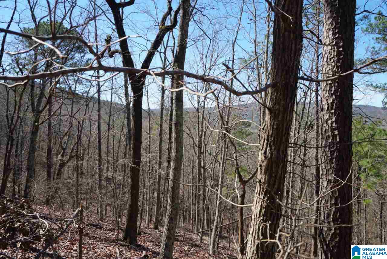 Mystic Valley View, Unit 1 Sterrett, AL 35147 - Photo 26 of 33