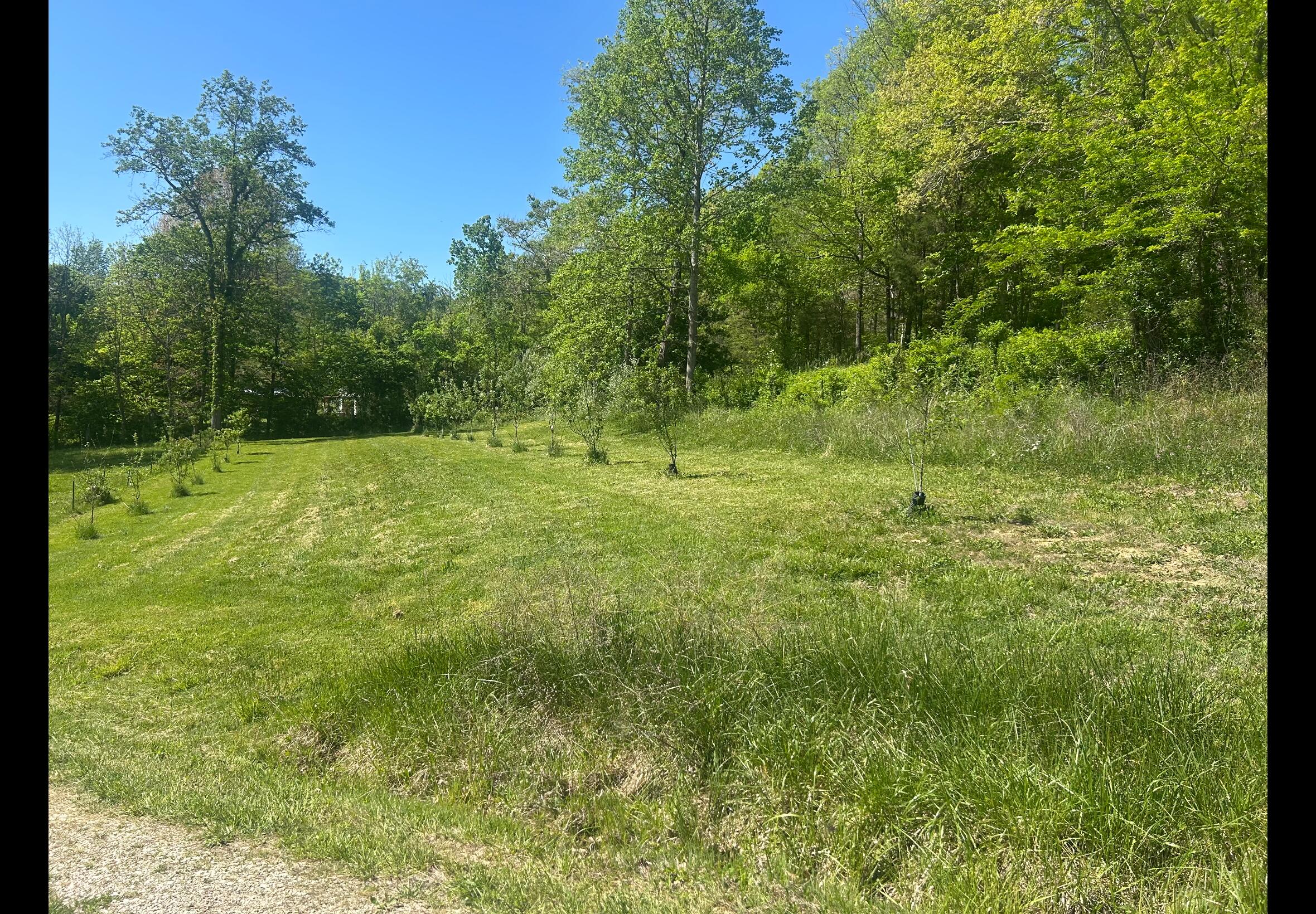 1568 Quicks Run Road Vanceburg, KY 41179 - Photo 9 of 49 IMG_8152