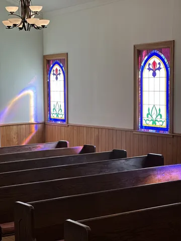 a room with gym equipment and a potted plant